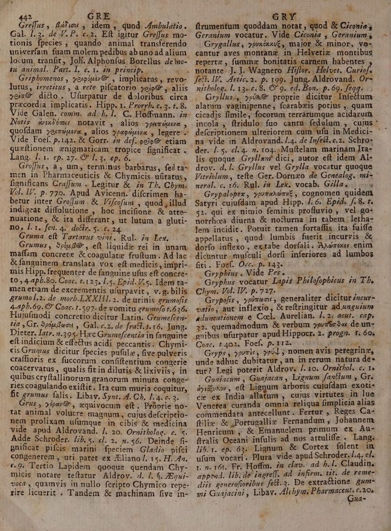 Greffus ,. G4 ,. idem , quod Admbulatio. Gal. /.3. 4e J.P. c.2. Eft igitur Greffus mo- tionis fpecies , quando animal transferendo univerfam faam molem pedibus ab uno àd alium locum, tranfit, Joh. Alphonfus Borellus de'mo- tu animal. Part. L. c. 1. dn princip. 7 Grzphomenos , yeroóusv€ , implicatus , revo- lutus, irretitus , a vete pifcatorio. yeioG ,. aliis yexrG dicto . Ufurpatur de doloribus circa precordia implicatis. Hipp. 1. Prorrh. c. 3. t. 8. Vide Galen. comm. ad. b. l. C. Hoffmann. i» Notis crwxdémis motavit , alios ypamóuera , quofdam e/zspusr« , alios »ypeedusia , legere . Vide Foef. p.142. &amp; Gorr. n def. oejo&amp; etiam qurítionem znigmaticam tropice fignificat . lang. 4.1. ep. 27. QUT. 4. dpi 6... ; Gro[fus, a , um, terminus barbarus, fed ta- men in Pharmaceuticis &amp; Chymicis. uitatus, fianificans Craffum . Legitur &amp; 4n T. Cbym. Vol. IP. p.770. Apud Avicenn. difcrimen ha- betur inter Gro[]um | &amp; | Vifcofum , quod , illud indigeat diffolutione , hoc incifione &amp; atte- nuatione, &amp; ita differant, ut lutum a gluti- no, J. 1. fen. 4. dolir. $. 0.24. Gruma eft Tartarus vini, Rul. zu Lex. Grumus, 3pu0&amp; , eft liquide rei in unam. maffam concrete &amp; coagulate fruftum. Ad lac &amp; fanguinem translata vox eft medicis , impri- is Hipp. frequenter de fanguine ufus eft concre- to , 4.apb.80. Coac. t. 123. 1.3. Epid. V.5. Idem ta- men etiam de excrementis ufurpavit, v. g. bilis &amp;rumol.2. de morb.LXXIHL. 2. de urinis evumofis 4.aph. 69. C' Coat. t. 397. de vomitu grumofo t.636. Hujufmodi. concretio dicitur Latin. Grzme/cen- 1/2 , Gr. 9poedems , Gal. c.2. de frati. 1.16. Jung. Dieter. Iatr. 2.395. Hec Grumefcentia in fanguine eft indicium &amp; effe&amp;us acidi peccantis. Chymi- eis Grimas. dicitur fpecies pufüls , five pulveris craffioris ex fuccorum confiftentium congerie coacervatus , qualis fit in dilutis &amp; lixiviis, in quibus cryftallinorum granorum minuta conge- ries coagulando exiftit. Ita cum muria coquitur, fit $rumus falis. Libav. Syst. 4. Ch. 1.4. c. 3. Grus , ipt , equivocum eft. Proprie no- tat animal volucre magnum, cujus defcriptio- nem prolixam uíumque in cibis &amp; medicina vide apud Aldrovand. /. 2o. Ornitholog. c. «. Adde Schroder. //£. s. el. 2. s. $6. Deinde fi- gnificat pifcis marini fpeciem | Gladio pifci . congenerem ,-uti. patet ex JEliano/. 1$. H. 4». *.9. Tertio Lapidem quoque quendam Chy- micis notare teftatur Aldrov. 4. 7. $. ZEgxi- voca , quamvis in nullo fcripto Chymico repe- , E, firumentum quoddam. notat , quod &amp; Ciconia Geranium vocatur. Vide Céconza , Geranium s Grygallus , ypexóxxv£, major.&amp; minor, vo- cantur aves montanz in ;Helvetie | montibus repertz , fummz bonitatis carnem habentes , fet. IV. Artic. 2. p. 199. Jung. Aldrovand. Or- nttholog. l. 1340.8. O* 9. ed. Bon. p. 69. fegq. Gryllus., yp9M€ proprie dicitur Infe&amp;tum alatum vaginipenne, fcarabxis potius ,, quam cicadis fimile, focorum terrárumque acidarur . incola , ftridulo: fuo cantu: fedulum , cujus * defcriptionem ulteriorem cum ufu in Medici- - na vide in Aldrovand. /.4. de In/eél. c.2. Schro- der. /. s. cl.4. . 104. Muftelam marinám Ita- lis quoque Gryl/sn? dici, autor eft idem AI- drov. 4. |. Gryllus vel Grylla vocatur quoque Vitriolum, tefte Ger. Dornzo de Genealog. mi- : neral. c, 16. Rul. s Lex. vocab. Gellae |... Grypalopex , yprraXémsE , cognomen quidem Satyri cujufdam apud Hipp. /.6. Epd. f. 8. t. $42. qui ex nimio feminis profluvio , vel. go- norrhosa diurna &amp; noSturna in tabem : letha- lem incidit. Potuit tamen fortaffis. ita fuiffe appellatus , quod lumbis fuerit incurvis &amp; dorfo inflexo , extabe dorfali; AXwréxes. enim dicuntur mufculi. doríi. inferiores ad lumbos fiti. Foef. Oec.. p. 143. R. bh. oGrypliug. Made Pesccuouse ro em . Gryphus vocatur. Lapis Philofophieus in Th. Chym. Vol. IV. p.717. — rl ou Grypofis , ypirem:s , generaliter dicitur Z»cur- catio, aut inflexio , &amp; reftringitur ad uaguium aduncationem &amp; Col. Aurelian. J. 2. acut.. cap, 35i quemadmodum &amp; verbum ypuT ic 3 as. de un- gnibus ufurpatur apud Hippocr. 2. progn. t. 6o, Coac. t402. Foef. p.r2v ios ut NS Gryps y ypumis , yeo ; nomen avis petegrinz, unde adhuc dubitatur, an in rerum natura de* tur? Legi poterit Aldrov. /. 10. Ornttbol. c. 1» Guaiacum , Guajacan , Legnum. fantlum , Gr. &amp;yi£uxov , eft Lignum arboris cujufdam. exoti« ce éx India allatum , cujus virtutes 1n lue Venefea curanda omnia reliqua fimplicia alias commendata antecellunt. Fertur ,. Reges Ca- ftiliz: &amp; ,;Portugallie Fernandum , Johannem Henricum. , &amp; Emanuelem primum ex Au- flralis Oceani infulis ad nos attuliffe . Lang.. lib.i. ep. 63. Lignum &amp; Cortex folent. in ufüm vocari. Plura vide apud Schroder. 4.4. cf. I. 2. 16t.. Fr. Hoffm. in clav. ad b.1. Claudin. appead. lib. de ingre[f. ad. infirm. ttt. de reme-. diis genevofioribus fe&amp;l.3. De extraCtione £um-