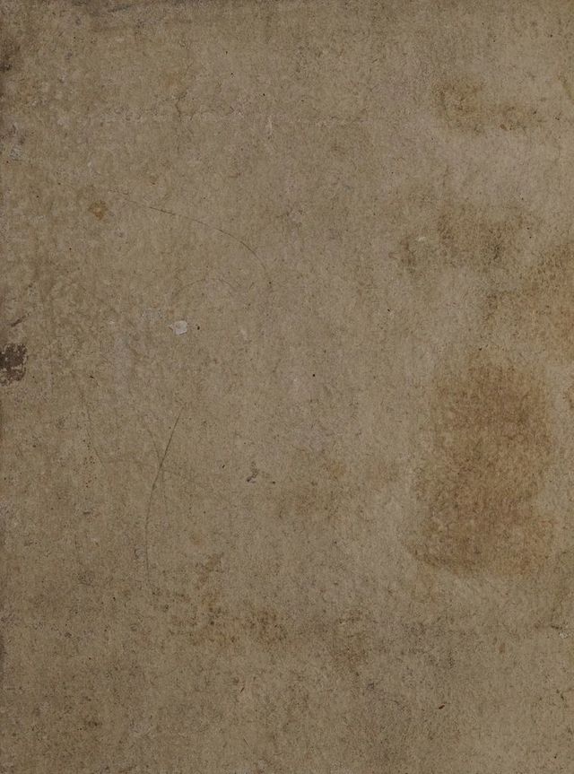 digitised image 1