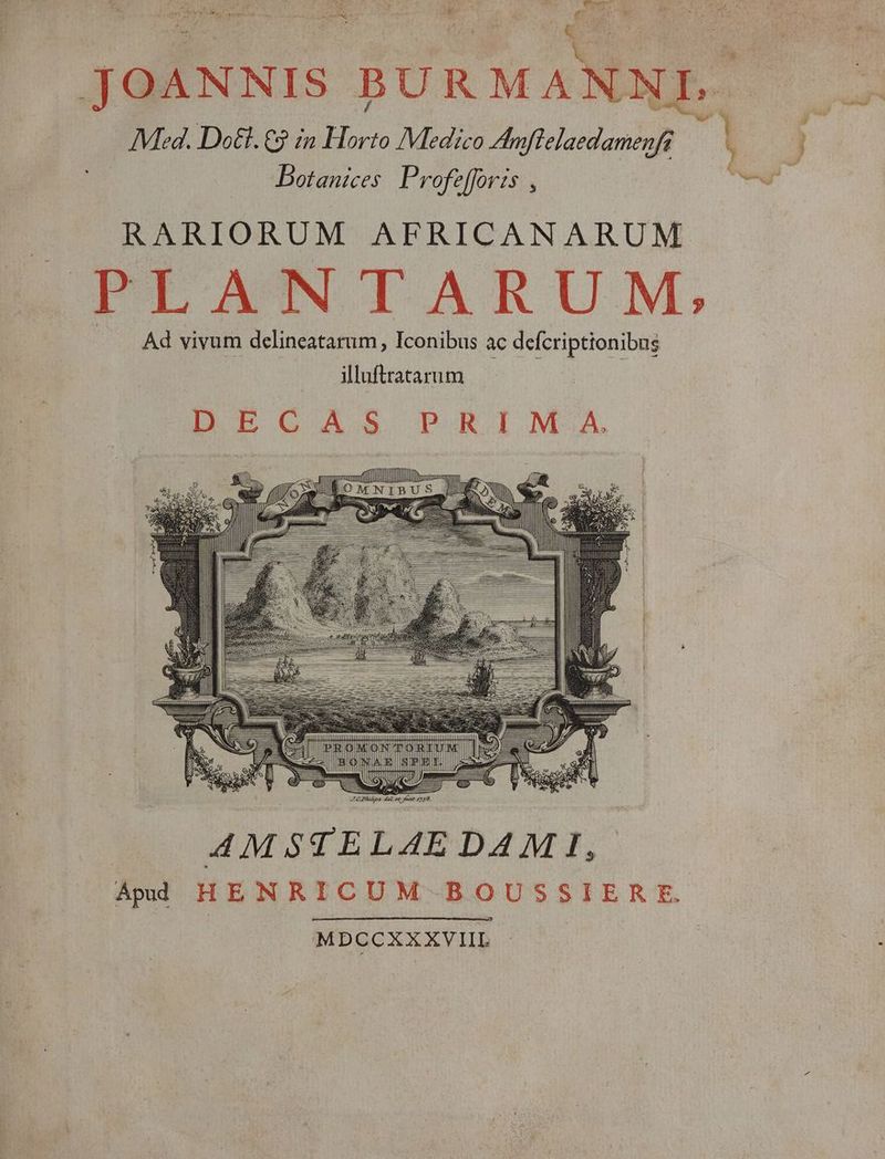 JOANNIS BURMANNIE. b Med. Dot. €? in Horto Medico Amflelaedamenfe h | j Dotanices Profefforis , —P RARIORUM AFRICANARUM PLANTARUM, Ad vivum delincatarum, Iconibus ac defcriptionibus illuftratarum BECAS PRIM A [Don md TIS S Jf | AMSTELAE DAM I, Eos HENRICUM BOUSSIERE. MDCCXXXVIIL