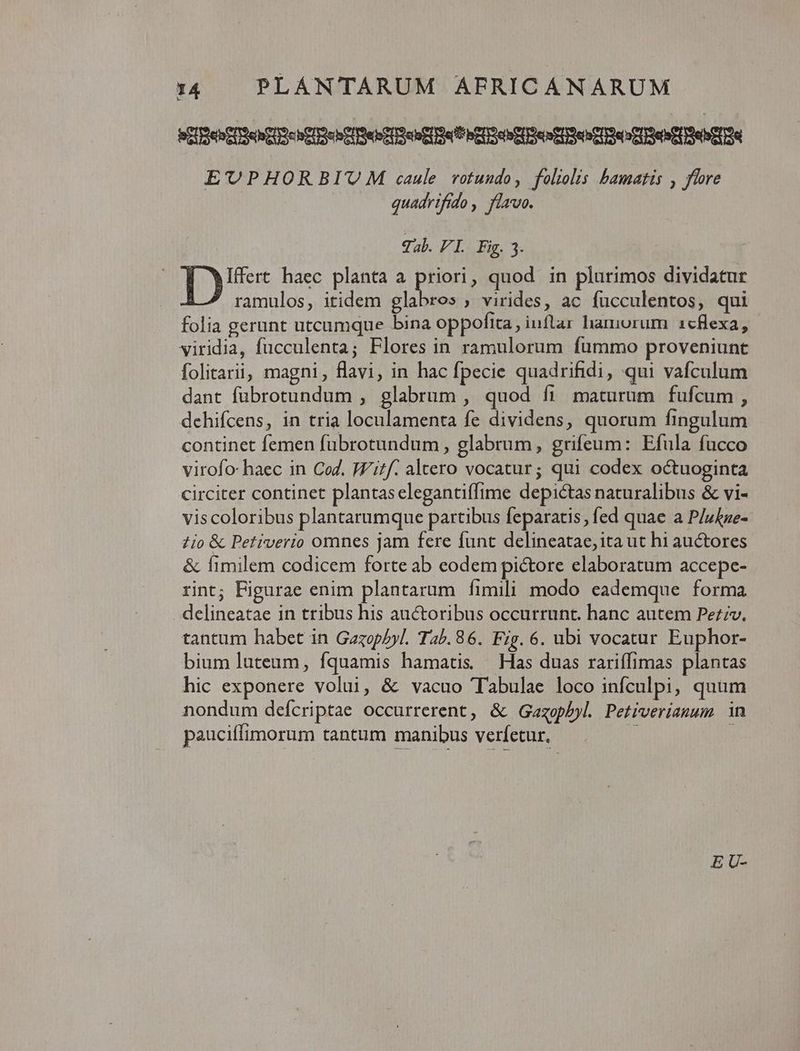 MOIBMEISN CTS bCUSeh Ie Ceo RUSe e MEUS EIER CUI CIE en CIENT EUPHORBIUM caule. votundo, foliolis bamatis , flore quadrifido , flavo. qb. VT. Fig. 3. ! py haec planta a priori, quod in plurimos dividatur ramulos, itidem glabros , virides, ac fucculentos, qui folia gerunt utcumque bina oppofita inflar harmiurum 1cflexa, viridia, fucculenta; Flores in ramulorum fummo proveniunt folitarii, magni, flavi, in hac fpecie quadrifidi, qui vafculum dant fubrotundum , glabrum , quod fi maturum fufcum, dehifcens, in tria loculamenta fe dividens, quorum fingulum continet femen fubrotundum , glabrum, grifeum: Efula fucco virofo- haec in Co. Wi£f. altero vocatur; qui codex octuoginta circiter continet plantaselegantiffime depictas naturalibus & vi- viscoloribus plantarumque partibus feparatis, fed quae a P/z4ze- £io & Petiverio omnes jam fere funt delineatae, ita ut hi auctores & fimilem codicem forte ab eodem pictore elaboratum accepe- rint; Figurae enim plantarum fimili modo eademque forma delineatae in tribus his auctoribus occurrunt. hanc autem Peziv. tantum habet in Gazopbyl. Ta^. 86. Fig. 6. ubi vocatur Euphor- bium luteum, fquamis hamatis — Has duas rariffimas plantas hic exponere volui, & vacuo Tabulae loco infculpi, quum nondum defcriptae occurrerent, & Gazoepbyl Petiverianum in pauciffimorum tantum manibus verfetur. ; à