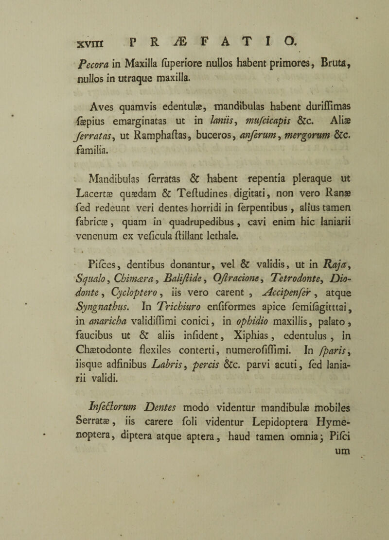 Pecora in Maxilla faperiore nullos habent primores, Bruta, nullos in utraque maxilla. Aves quamvis edentulae, tnandibulas habent duriffimas fiepius emarginatas ut in laniis, mufcicapis &c. Alias Jerratas, ut Ramphaftas, buceros, anferum, mergorum &c. familia. Mandibulas ferratas & habent repentia pleraque ut Lacertas quasdam & Teftudines digitati, non vero Ranae fed redeunt veri dentes horridi in ferpentibus , alius tamen fabricae, quam in quadrupedibus 9 cavi enim hie laniarii venenum ex veficula ftillant lethale. * i * Piices, dentibus donantur, vel & validis, ut in Raja, Squalo, Cbimara, Baliftide, OJlracione, Tetrodonte, Dio- donte, Cycloptero, iis vero carent , u4ccipenfer, atque Syngnathus. In Trichiuro enfiformes apice femifagitttai, in anaricha validiffimi conici, in ophidio maxillis, palato, faucibus ut & aliis infident, Xiphias, edentulus 5 In Chaetodonte flexiles conterti, numerofiffimi. In fparis, iisque adfinibus Labris, percis &c. parvi acuti, fed lania¬ rii validi. Infedorum Dentes modo videntur mandibulae mobiles Serratae, iis carere foli videntur Lepidoptera Hyme- noptera, diptera atque aptera, haud tamen omnia; Pilci um