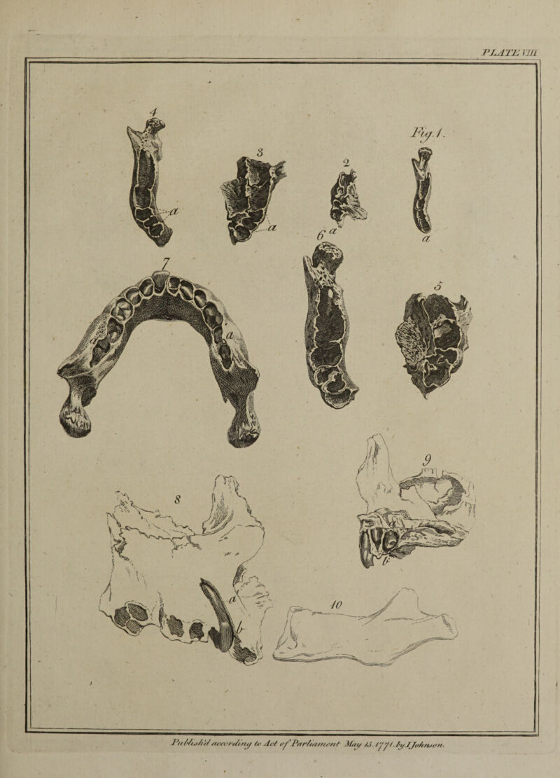 PLATE, Yjri P/< /Ltj/W accarAony to Act fffPar/icunent Mat/ />'. 47JI- Zy IJo/mjan-