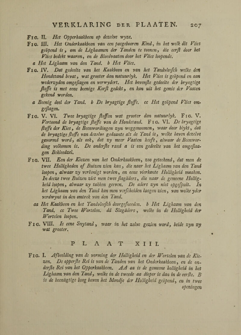 Fig. TI. Het opperkaakbeen op dezclve wyze. Fig. III. Het Underkaakbeen van een pasgebooren Kind, in het welk dit Flies geopend is 9 om de Lighaamen der Tanden te toonen 9 die eerji door het Flies bedekt waaren, en de Bloedvaaten door het Flies loopende. a Het Lighaam van den Tmd. b Het Flies. Fig. IV. Dat gedeelte van het Kaakbeen en van het Tandvleefch welke den Hondstand bevat, wat grooter dan natuurlyk. Het Flies is geopend en aan wederzyden omgeflagen en verwydert. Het bovenfte gedeelte der bryagtige ftoffe is met eene beenige Korft gedekt9 en kan uit het gemis der Faaten gekend worden. a Beenig deel der 'land, b De bryagtige ftoffe. cc Het geopend Flies om- geftagen. Fig. V. VI. Twee bryagtige ftoffen wat grooter dan natuurlyk. Fig. V„ Fertoond de bryagtige ftoffe van de Hondstand. Fig. VI. De bryagtige ftoffe der Kies9 de Beenwordingen zyn weggenoomen9 waar door blykt, dat de bryagtige ftoffe van dezelve gedaante als de Band is} welke boven dezelve gevormd wordy als 00k, dat zy meer Faaten heeft, alwaar de Beenwor- ding volkomen is. De onderfte rand a is een gedeelte van het omgejlaa- gen Bekleedzel. Fig. VII. Een der Kiezen van het Onderkaakbeen, zoo geteekend, dat men de twee Holligheden of Buizen zien kan y die naar het Lighaam van den Tand loopen, alwaar zy vereenigt worden, en eene vierkante Holligheid maaken. In deeze twee Buizen ziet men twee ftagdders, die naar de gemeene Hollig¬ heid loopen, alwaar zy takken geeven. De aders zyn niet opgefpuit. In het Lighaam van den Tand kan men verfeheiden laagen zien, van welke yder verdwynt in den omtrek van den Tand. aa Het Kaakbeen en het Tandvleefch doorgef?ieedcn. b Het Lighaam van den Tand. cc Twee Wwiden, dd Slagaders, welke in de Holligheid der JFortelen loopen. Fig. VIII. Is eene Snytand, waar in het zelve gezien wordy beide zyn zy wat grooter. « PL A AT XIII. I • Fig. I. Hfbeelding van de vorming der Holligheid en der IVortelen van de Kie¬ zen. De opperfte Rei is van de Tanden van het Onderkaakbeen, en de on¬ derfte Rei van het Opperkaakbeen. AA aa is de gemeene holligheid in het Lighaam van den Tandy welke in de tweede aa dieper is dan in de eerfte. B is de beenagtige boog boven het Mondje der Holligheid geopend, en in twee openingen