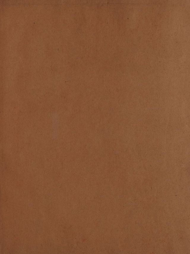 digitised image 3