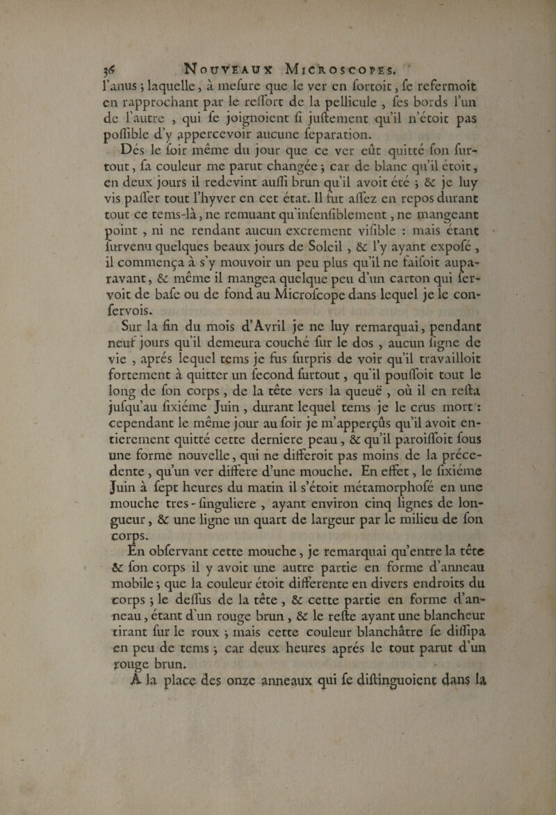 l’anus ; laquelle, à mefure que le ver en fortoit, fe refermoit en rapprochant par le reffort de la pellicule , fes bords l’un de l’autre , qui fe joignoient h juftement qu’il n’étoit pas pollible d’y appercevoir aucune fcparation. Dés le loir même du jour que ce ver eût quitté fon fur- tout , fa couleur me parut changée j car de blanc qu’il étoit, en deux jours il redevint aufîi brun qu’il avoit été j 6c je luy vis palier tout l’hyver en cet état. Il fut allez en repos durant tout ce tems-là,ne remuant qu’infenfiblement, ne mangeant point , ni ne rendant aucun excrement vifible : mais étant îurvenu quelques beaux jours de Soleil , 6c l’y ayant expofé , il commença à s’y mouvoir un peu plus qu’il ne faifoit aupa¬ ravant, 6c même il mangea quelque peu d’un carton qui fer- voit de bafe ou de fond au Microfcope dans lequel je le con- fervois. Sur la fin du mois d’Avril je ne luy remarquai, pendant neuf jours qu’il demeura couché fur le dos , aucun ligne de vie , après lequel teins je fuis furpris de voir qu’il travailloit fortement à quitter un fécond furtout, qu’il poulfoit tout le long de fon corps, de la tête vers la queue , où il en relia jufqu’au fixiéme Juin, durant lequel teins je le crus mort : cependant le même jour au foir je m’apperçûs qu’il avoit en¬ tièrement quitté cette derniere peau, 6c qu’il paroilfoit fous une forme nouvelle, qui ne dilferoit pas moins de la précé¬ dente , qu’un ver différé d’une mouche. En effet, le fixiéme Juin à fept heures du matin il s’étoit métamorphofé en une mouche très - finguliere , ayant environ cinq lignes de lon¬ gueur , 6>C une ligne un quart de largeur par le milieu de fon corps. En obfervant cette mouche, je remarquai qu’entre la tête 6c fon corps il y avoit une autre partie en forme d’anneau mobile} que la couleur étoit differente en divers endroits du corps le deffus de la tête , 6c cette partie en forme d’an¬ neau , étant d’un rouge brun , 6c le refte ayant une blancheur tirant fur le roux } mais cette couleur blanchâtre fe diffipa en peu de tems j car deux heures après le tout parut d’un rouge brun. A la place des onze anneaux qui fe diflinguoient dans la