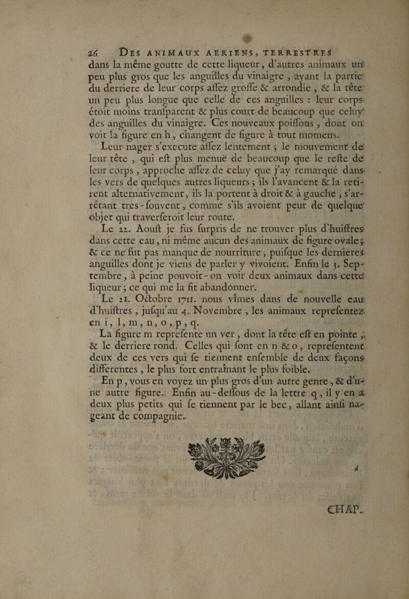 dans la même goutte de cette liqueur, d’autres animaux un’ peu plus gros que les anguilles du vinaigre , ayant la partie du derrière de leur corps allez syoffe 6c arrondie , 6c la tête un peu plus longue que celle <Ie ces anguilles r leur corps- étoit moins tranfparent 6c plus court-de beaucoup que celuy* des anguilles du vinaigre. Ces nouveaux poilïbns , dont on‘ voit la ligure en h, changent de figure à tout momeris. Leur nager s’exécute allez lentement3 le mouvement de- leur tête , qui eft plus menue de beaucoup que le relie de leur corps, approche allez de celuy que j’ay remarqué dans- les vers de quelques autres liqueurs3 ils l’avancent 6c la reti¬ rent alternativement, ils la portent à droit6c à gauche , s’ar¬ rêtant très - fouvent j comme s’ils avoient peur de quelque’ objet qui traverferoit leur route. Le ii.- Aoult je fus furpris de ne trouver plus d’huifïres dans cette eau, ni même aucun des animaux de figure ovale 3- 6c ce ne‘ fut pas manque de nourriture, puifque les derniereS anguilles dont je viens de parler y vivoient. Enfin le 3. Sep¬ tembre , à peine pouvoit-on voir deux animaux dans cette liqueur 3 ce qui me la fit abandonner. Le 11. Octobre 1711. nous vîmes dans de nouvelle eau? d’huiftres, jufqu’au 4. Novembre , les animaux reprefentez- en i, 1, m, n, o,.p, q. La figure m reprefente un ver , dont la tête eft en pointe ôc le derrière rond. Celles qui font en n 6c o , reprefentent deux de ces vers qui fe tiennent enfemble de deux façons differentes, le plus fort entraînant le plus foible. En p , vous en voyez un plus gros d’un autre genre, 6C d’u¬ ne autre figure.. Enfin au-deffous de la lettre q, il y en si- deux plus petits qui fe tiennent par le bec, allant ainfi na.-- geant de compagnie.- CH AP .