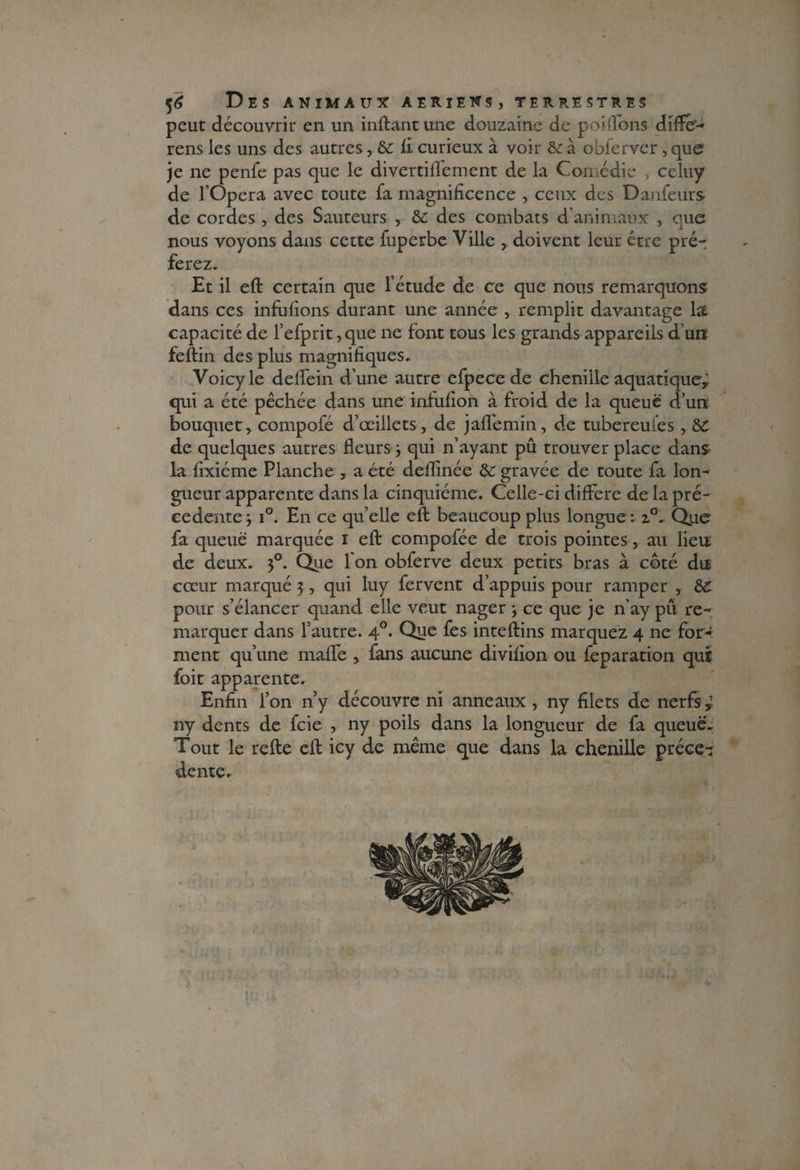 peut découvrir en un inftantune douzaine de poiflans difté- rens les uns des autres, & fl. curieux à voir & à obfcrver, que je ne penfe pas que le divertiflfement de la Comédie , celuy de l’Opera avec toute fa magnificence , ceux des Danfeurs de cordes , des Sauteurs , & des combats d animaux , que nous voyons dans cette fuperbe Ville doivent leur être pré- ferez. Et il eft certain que l’étude de ce que nous remarquons dans ces infufions durant une année , remplit davantage la capacité de l’efprit ,que ne font tous les grands appareils d un feftin des plus magnifiques. Voicyle deflein d’une autre efpece de chenille aquatique^ qui a été pêchée dans une infufion à froid de la queue d’un- bouquet, compofé d’œillets, de jaflemin, de tubereules, &: de quelques autres fleurs ; qui n’ayant pu trouver place dans la fixiéme Planche , a été deflinée &: gravée de toute fa lon¬ gueur apparente dans la cinquième. Celle-ci différé de la pré¬ cédente j i°. En ce quelle eft beaucoup plus longue Que fa queue marquée i eft compofée de trois pointes, au lieu; de deux. 30. Que 1 on obferve deux petits bras à côté dti cœur marqué 3, qui luy fervent d’appuis pour ramper , de pour s’élancer quand elle veut nager 3 ce que je n’ay pu re¬ marquer dans l’autre. 40. Que fes inteftins marquez 4 ne for¬ ment qu’une malfe , fans aucune divifion ou feparation qui foit apparente. Enfin l’on n’y découvre ni anneaux , ny filets de nerfs i ny dents de fcie , ny poils dans la longueur de fa queue- Tout le refte eft icy de même que dans la chenille préce-j dente.