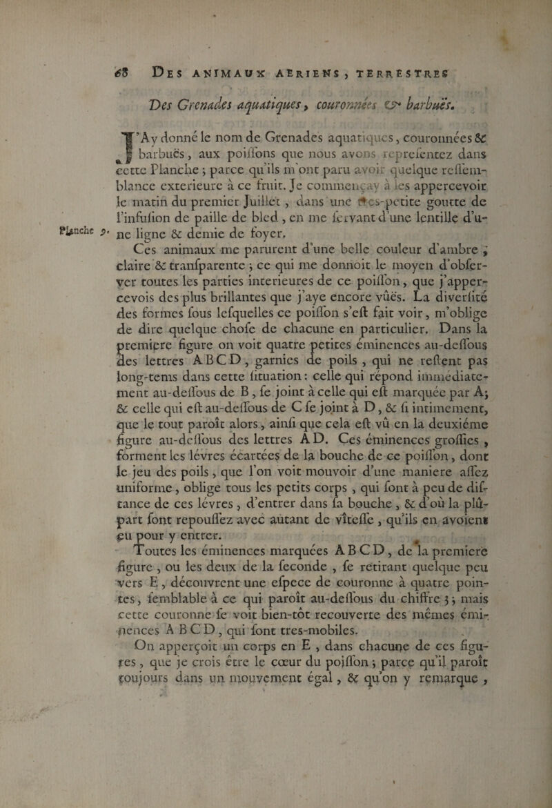 Des Grenades aquatiques, couronnées es* barbues. T'A y donné le nom de Grenades aquatiques, couronnées SC | barbues, aux poiffons que nous avons reprefentez dans cette Planche ; parce qu’ils m'ont paru avoir quelque reffem- blance extérieure à ce fruit. Je commençay à ies appercevoir le matin du premier Juillet , dans une îtes-petite goutte de iinfufion de paille de bled , en me fervant d’une lentille d’u- Pl^nchc ne Pgne 2c demie de foyer. Ces animaux me parurent d’une belle couleur d’ambre ; claire & tranfparente } ce qui me donnoit le moyen d’obfer- ver toutes les parties intérieures de ce poiflbn, que j’apper- cevois des plus brillantes que j’aye encore vues. La diverfité des formes fous lefquelles ce poiflbn s’efl fait voir, m’oblige de dire quelque chofe de chacune en particulier. Dans la première figure on voit quatre petites éminences au-deflous des lettres ABCD, garnies de poils , qui ne relient pas long-tems dans cette fituation: celle qui répond immédiate¬ ment au-deffous de B , fe joint à celle qui efl marquée par A; & celle qui efl au-delfous de C fe joint à D, & fi intimement, que le tout paroît alors, ainfi que cela efl; vu en la deuxième figure au-deffous des lettres A D. Ces éminences groflies ? forment les lèvres écartées de la bouche de ce poiflbn, dont le jeu des poils, que l’on voit mouvoir d’une maniéré aflez uniforme , oblige tous les petits corps , qui font à peu de dis¬ tance de ces lèvres , d’entrer dans fa bouche , 6c d’ou la plu¬ part font repouflez avec autant de vîtefle , qu ils en avoient çu pour y entrer. Toutes les éminences marquées A B C D , de la première figure , ou les deux de la fécondé , fe retirant quelque peu vers E, découvrent une efpece de couronne à quatre poin¬ tes , femblable à ce qui paroît au-deflous du chiffre 3 3 mais cette couronne fe voit bien-tot recouverte des mêmes émi¬ nences ABCD, qui font tres-mobiles. On apperçoit un corps en E , dans chacune de ces figu¬ res , que je crois être le coeur du pojflon 3 parce qu’il paroît toujours dans un mouvement égal, 6c qu’on y remarque , «