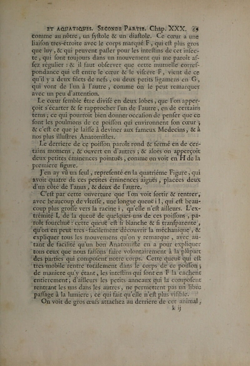 comme au nôtre > un fyftole & un diaftole. Ce coeur a une liaifon tres-étroite avec le corps marqué F, qui eft plus gros que luy , & qui peuvent palier pour les intertins de cet infec¬ te , qui font toujours dans un mouvement qui me paroît af- fez régulier : de il faut obferver que cette mutuelle corref- pondance qui eft entre le cœur de le vifcerc F , vient de ce qu’il y a deux filets de nefs , ou deux petits ligamens en G, qui vont de l’un à l’autre , comme on le peut remarquer avec un peu d’attention. Le cœur femble être divifé en deux lobes, que l’on apper- çoit s’écarter de fe rapprocher l’un de l’autre, en de certains tems} ce qui pourrait bien donner occalion de penfer que ce font les poulmons de ce poill'on qui environnent fon cœur j de c’eft ce que je lairte à deviner aux fameux Médecins, de à nos plus illuftres Anatomirtes. Le derrière de ce poill’on paroît rond de fermé en de cer¬ tains montons , de ouvert en d’autres *, de alors on apperçoit deux petites éminences pointues, comme on voit en H de la première figure. J'en ay vû un feu!, reprefenté en la quatrième Figure, qui avoir quatre de ces petites éminences aiguës, placées deux d’un côté de l’anus, de deux de l’autre. C’eft par cette ouverture que l’on voit fortir de rentrer , avec beaucoup de vîtelfe, une longue queue i 1, qui eft beau* coup plus grade vers la racine i, qu’elle n’eft ailleurs. L’ex¬ trémité L de la queue de quelques-uns de ces portions , pa* roît fourchue : cette queue eft li blanche de fi tranfparente , qu’ort en peut très - facilement découvrir la méchanique , de expliquer tous les mouvemens qu’on y remarque , avec au¬ tant de facilité qu’un bon Anatonrifte en a pour expliquer tous ceux que nous fartons faire volontairement à la plupart des parties qui compofent notre corps. Cette queue qui eft tres-mobile rentre totalement dans le corps de ce poiftbn -, de maniéré qu’y étant, les inteftinsqui font en F la cachent entièrement j d’ailleurs les petits anneaux qui la compofent rentrant les uns dans les autres , ne permettent pas un libre partage à la lumière } ce qui lait qu’elle n’eft plus viiibie. On voit de gros œufs attachez au derrière de cet animal *