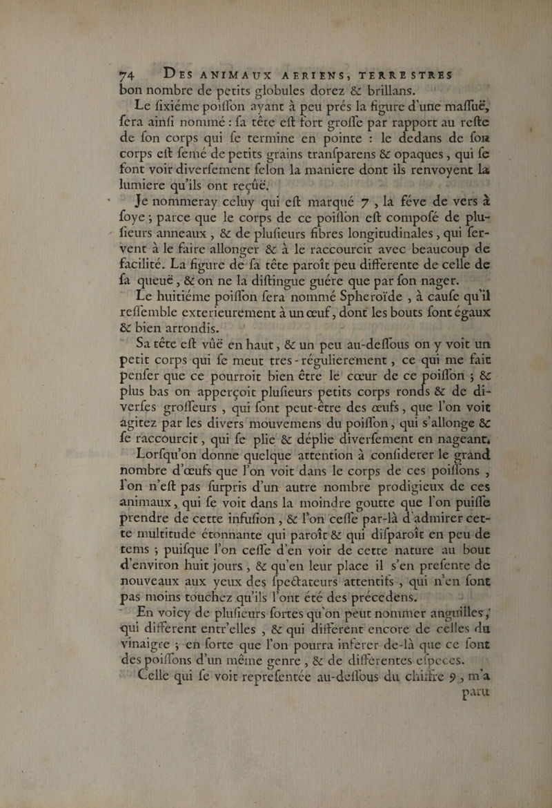 bon nombre de petits globules dorez 6c brillans. Le fixiéme poillbn ayant à peu prés la figure d’une mafTuë, fera ainfi nommé : fa tête eft fort grofle par rapport au reftc de fon corps qui fe termine en pointe : le dedans de font corps eft femé de petits grains tranfparens 6c opaques , qui fe font voir diverfement félon la maniéré dont ils renvoyent la lumière qu’ils ont reçue. Je nommeray celuy qui eft marqué 7 , la fève de vers à foye ; parce que le corps de ce poifton eft compofé de plu- lïeurs anneaux , 6c de plusieurs fibres longitudinales , qui fer¬ vent à le faire allonger & à le raccourcir avec beaucoup de facilité. La figure de fa tête paroît peu differente de celle de fa queue , 6c on ne la diftingue guère que par fon nager. Le huitième poifton fera nommé Sphéroïde , à caufe qu’il reflemble extérieurement à un œuf, dont les bouts font égaux 6C bien arrondis. Sa tête eft vue en haut, 6c un peu au-deflous on y voit un petit corps qui fe meut très - régulièrement, ce qui me fait penfer que ce pourroit bien être le cœur de ce poifton ; 6c plus bas on apperçoit plufieurs petits corps ronds 6c de di- verfes groftfeurs , qui font peut-être des œufs, que l’on voit agitez par les divers mouvemens du poifton, qui s’allonge 6c fe raccourcit, qui fe plie 6c déplie diverfement en nageant* Lorfqu’on donne quelque attention à confiderer le grand nombre d’œufs que Ton voit dans le corps de ces poiftons , 1 on n’eft pas furpris d’un autre nombre prodigieux de ces animaux, qui fe voit dans la moindre goutte que l'on puifle prendre de cette infufton , 6c l’on cefl'e par-là d admirer cet¬ te multitude étonnante qui paroît 6c qui difparoît en peu de tems *, puifque l’on cefl'e d’en voir de cette nature au bout d’environ huit jours , 6c qu’en leur place il s’en prefente de nouveaux aux yeux des fpeébateurs attentifs , qui n’en font pas moins touchez qu’ils l’ont été des précedens. En voicy de plufieurs fortes qu’on peut nommer anguilles,’ cpii different entr’elles , 6c qui different encore de celles du vinaigre } en forte que l’on pourra inférér de-là que ce font des poiftons d’un même genre , 6c de différentes eipcces. Celle qui le voit reprefentée au-ddfous du chiffré 9 ? nTa paru