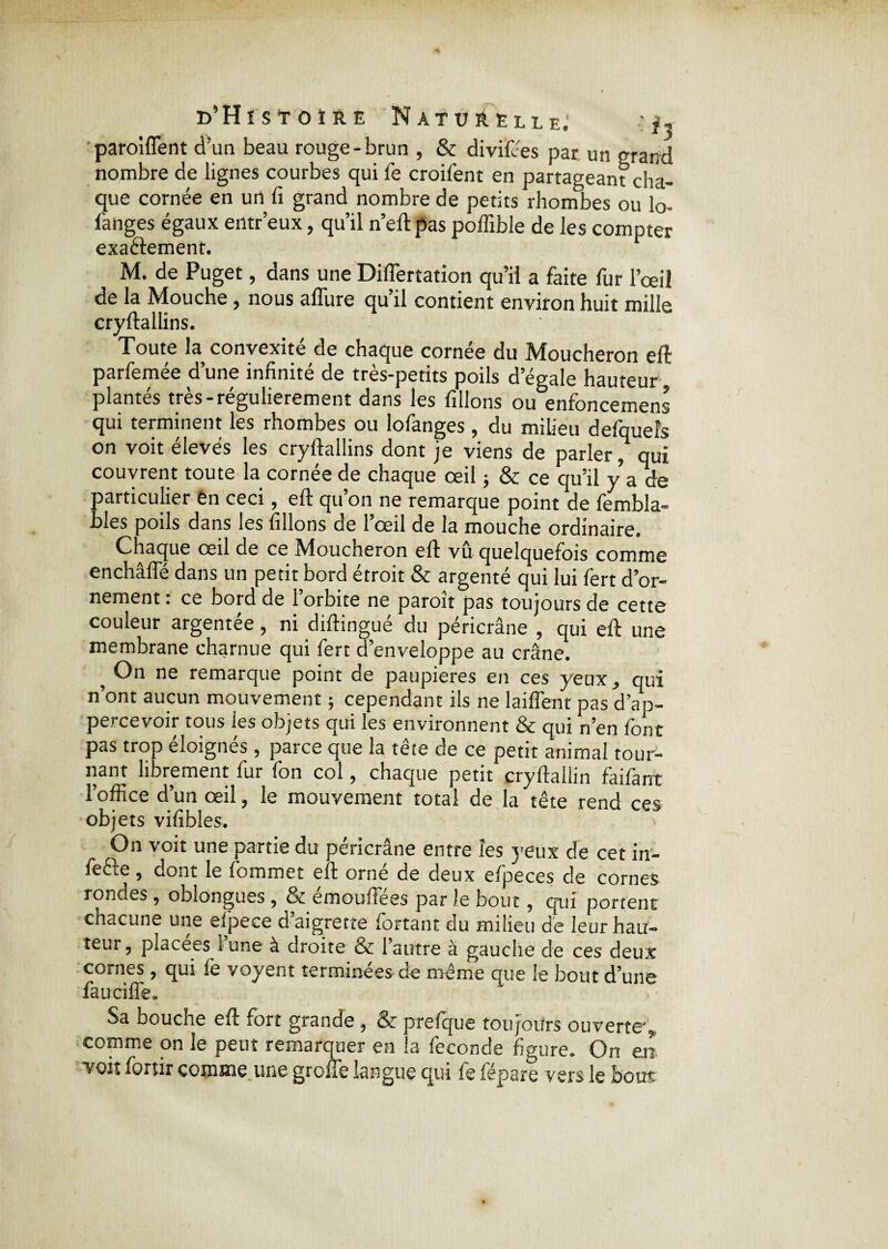 parodient d’un beau rouge-brun , & divines par un grand nombre de lignes courbes qui fe croifent en partageant cha¬ que cornée en un fi grand nombre de petits rhombes ou lo- fanges égaux entr’eux, qu’il n’eftpas poffible de les compter exaêlement. M. de Puget, dans une Diflertation qu’il a faite fur l’œil de la Mouche, nous allure qu’il contient environ huit mille cryftallins. Toute la convexité de chaque cornée du Moucheron eft parfemée d’une infinité de très-petits poils d’égale hauteur plantés très-régulièrement dans les filions ou enfoncemens qui terminent les rhombes ou lofanges, du milieu defqueîs on voit élevés les cryftallins dont je viens de parler, qui couvrent toute la cornée de chaque œil ; & ce qu’il y a de particulier èn ceci, eft qu’on ne remarque point de fembla- bles poils dans les filions de l’œil de la mouche ordinaire. Chaque œil de ce Moucheron eft vû quelquefois comme enchâfle dans un petit bord étroit & argenté qui lui fert d’or¬ nement : ce bord de l’orbite ne paroît pas toujours de cette couleur argentée, ni diftingué du péricrâne , qui eft une membrane charnue qui fert d’enveloppe au crâne. ^ On ne remarque point de paupières en ces yeux, qui n’ont aucun mouvement ; cependant ils ne laiffent pas d’ap- percevoir tous les objets qui les environnent & qui n’en font pas trop éloignés , parce que la tête de ce petit animal tour¬ nant librement fur (on col, chaque petit cryftallin faifant l’office d’un œil, le mouvement total de la tête rend ces objets vifibles. On voit une partie du péricrâne entre les yeux de cet in- (eêie , dont le (ommet eft orne de deux eijDeces de cornes rondes , oblongues , ôc emouftees par le bout ? qui portent chacune une elpece d aigrette fortant du milieu de leur hau¬ teur, placées 1 une à droite & l’autre à gauche de ces deux cornes , qui (e yoyent terminées de même que le bout d’une faucille. Sa bouche eft fort grande , & prefque toujours ouverte, comme on le peut remarquer en la fécondé figure. On en voit fortir comme une groffe langue qui fe fépare vers le bous