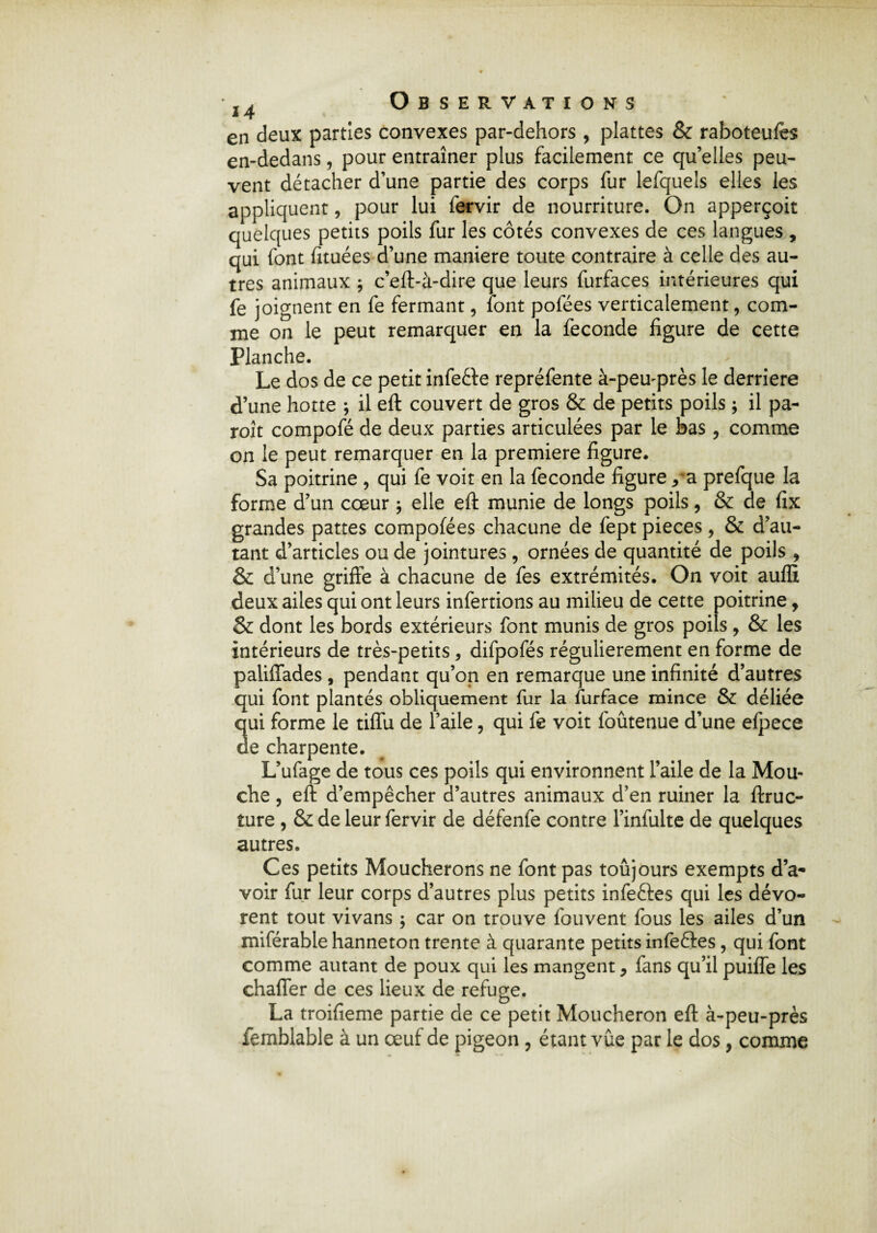 J4 Observations en deux parties convexes par-dehors , plattes & raboteufes en-dedans, pour entraîner plus facilement ce qu’elles peu¬ vent détacher d’une partie des corps fur lefquels elles les appliquent, pour lui fervir de nourriture. On apperçoit quelques petits poils fur les côtés convexes de ces langues , qui font fituées d’une maniéré toute contraire à celle des au¬ tres animaux ; c’eft-à-dire que leurs furfaces intérieures qui fe joignent en fe fermant, font pofées verticalement, com¬ me on le peut remarquer en la fécondé ligure de cette Planche. Le dos de ce petit infeéte repréfente à-peu-près le derrière d’une hotte ; il eft couvert de gros & de petits poils ; il pa- roît compofé de deux parties articulées par le bas, comme on le peut remarquer en la première ligure. Sa poitrine , qui fe voit en la fécondé ligure / a prefque la forme d’un cœur ; elle eft munie de longs poils, & de lîx grandes pattes compolées chacune de fept pièces , & d’au¬ tant d’articles ou de jointures , ornées de quantité de poils , & d’une griffe à chacune de fes extrémités. On voit auffi deux ailes qui ont leurs infertions au milieu de cette poitrine, & dont les bords extérieurs font munis de gros poils , & les intérieurs de très-petits, difpofés régulièrement en forme de paliffades , pendant qu’on en remarque une infinité d’autres qui font plantés obliquement fur la furface mince & déliée 3ui forme le tiflu de l’aile, qui fe voit foûtenue d’une elpece e charpente. L’ufage de tous ces poils qui environnent l’aile de la Mou¬ che , eft d’empêcher d’autres animaux d’en ruiner la ftruc- ture , & de leur fervir de défenfe contre l’infulte de quelques autres. Ces petits Moucherons ne font pas toujours exempts d’a¬ voir fur leur corps d’autres plus petits infeftes qui les dévo¬ rent tout vivans ; car on trouve fouvent fous les ailes d’un miférable hanneton trente à quarante petits infeêtes, qui font comme autant de poux qui les mangent, fans qu’il puiffe les chaffer de ces lieux de refuge. La troifieme partie de ce petit Moucheron eft à-peu-près femblable à un œuf de pigeon ? étant vue par le dos, comme
