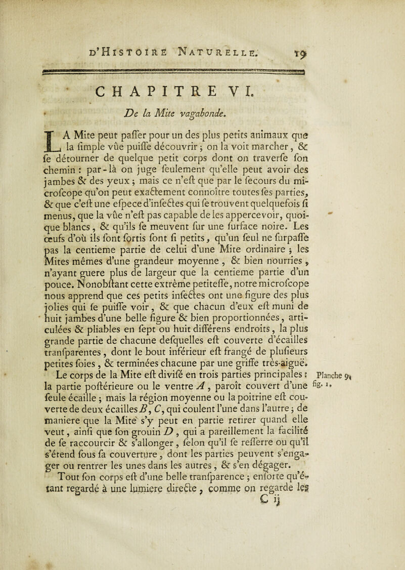 ■Trr.'vagggg^ CHAPITRE VI. De la Mite vagabonde. LA Mite peut paffer pour un des plus petits animaux que la fimple vûe puiffe découvrir j on la voit marcher, & fe détourner de quelque petit corps dont on traverfe fon chemin : par-là on juge feulement qu’elle peut avoir des jambes & des yeux ; mais ce n’eft que par le fecours du mi- crofcope qu’on peut exactement connoitre toutes les parties* &que c’eftune efpece d’infeCtes qui fe trouvent quelquefois lï menus, que la vûe n’eft pas capable de les appercevoir, quoi¬ que blancs, & qu’ils fe meuvent fur une furface noire. Les œufs d’où ils font fqrtis font fi petits * qu’un feul ne furpaffe pas la centième partie de celui d’une Mite ordinaire * les Mites mêmes d’une grandeur moyenne , & bien nourries 7 n’ayant guere plus de largeur que la centième partie d’un pouce. Nonobftant cette extrême petiteffe, notre microfcope nous apprend que ces petits infeétes ont une figure des plus jolies qui fe puiffe voir, & que chacun d’eux eff muni de huit jambes d’une belle figure & bien proportionnées, arti¬ culées & pliables en fept ou huit différens endroits, la plus grande partie de chacune defquelles eft couverte d’écailles tranfparentes , dont le bout inférieur eft frangé de plufieurs petites foies , & terminées chacune par une griffe très-aiguë* Le corps de la Mite eft divifé en trois parties principales ? Planche & la partie poftérieure ou le ventre A , paroît couvert d’une %Ia feule écaille ; mais la région moyenne ou la poitrine eft cou¬ verte de deux écailles i?, C, qui coulent l’une dans l’autre 3 de maniéré que la Mite s’y peut en partie retirer quand elle veut, ainfi que fon grouin D , qui a pareillement la facilité de fe raccourcir & s’allonger, félon qu’il fe refferre ou qu’il s’étend fous fa couverture , dont les parties peuvent s'enga^ ger ou rentrer les unes dans les autres, & s’en dégager. Tout fon corps eft d’une belle tranfparence ; eniorte qu’é¬ tant regardé à une lumière directe ? comme on regarde les C i]