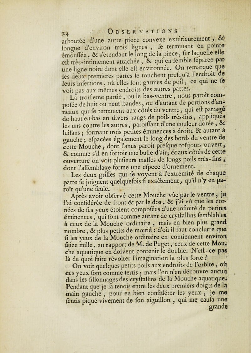 arboutée d’une autre piece convexe extérieurement * èc longue d’environ trois lignes , fe terminant en pointe émouffée, & s’étendant le long de la piece, fur laquelle elle eft très-intimement attachée , & qui en femble féparée par une ligne noire dont elle eft environnée. On ^remarque que les deux premières pattes fe touchent prefqu’à 1 endroit de leurs infertions , où elles font garnies de poil, ce qui ne le voit pas aux mêmes endroits des autres pattes. La troifieme partie , ou le bas-ventre , nous paroît com- pofée de huit ou neuf bandes, ou d’autant de portions d’an¬ neaux qui fe terminent aux côtés du ventre * qui eft partagé de haut en-bas en divers rangs de poils très-fins, appliqués les uns contre les autres, paroiflant d’une couleur dorée , &C luifans * formant trois petites éminences à droite & autant à gauche ; efpacées également le long des bords du ventre de cette Mouche , dont l’anus paroît prefque toûjours ouvert, & comme s’il en fortoit une bulle d air, & aux cotes de cette ouverture on voit plufieurs maffes de longs poils très-fins 9 dont l’affemblage forme une efpece d’ornement. Les deux griffes qui fe voyent à l’extrémité de chaque patte fe joignent quelquefois fi exa&ement, qu’il n’y en pa¬ roît qu’une feule. Après avoir obfervé cette Mouche vûe par le ventre , je l’ai confédérée de front & par le dos , & j ai vu que les cor¬ nées de fes yeux étoient compofées d une infinité de petites éminences , qui font comme autant de cryftallins femblables à ceux de la Mouche ordinaire , mais en bien plus grand nombre , & plus petits de moitié : d ou il faut conclurre que fi les yeux de la Mouche ordinaire en contiennent environ feize mille, au rapport de M. de Puget, ceux de cette Mou* che aquatique en doivent contenir le double. N eft-ce pas là de quoi faire révolter l’imagination la plus forte ? On voit quelques petits poils aux endroits de l’orbite , où ces yeux font comme fertis ; mais l’on n’en découvre aucun dans les fillonnages des cryftallins de la Mouche aquatique* Pendant que je la tenois entre les deux premiers doigts de la main gauche , pour en bien confidérer les yeux , je me fentis piqué vivement de fon aiguillon , qui me caufa une