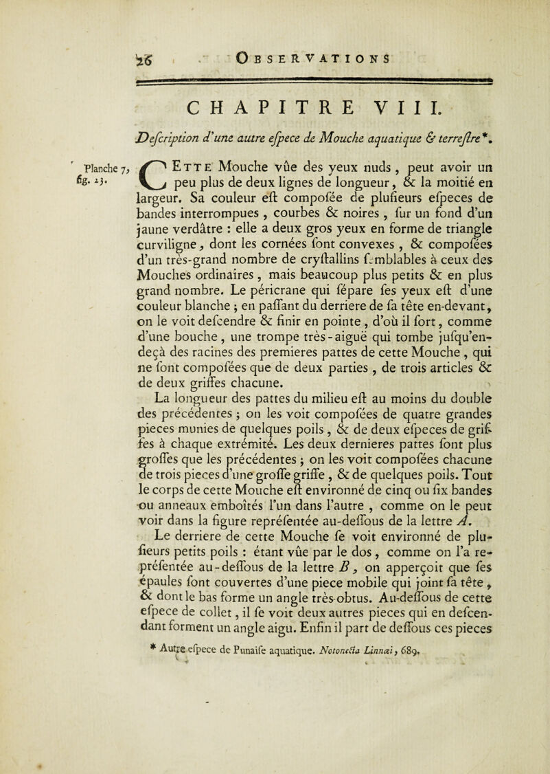 I Planche 7, èg. zj. CHAPITRE VIII. Defcription d'une autre efpece de Mouche aquatique & terrejlre CEtte Mouche vue des yeux nuds , peut avoir un peu plus de deux lignes de longueur, & la moitié en largeur. Sa couleur eft compofée de plusieurs efpeces de bandes interrompues , courbes & noires , fur un fond d’un jaune verdâtre : elle a deux gros yeux en forme de triangle curviligne, dont les cornées font convexes , & compofées d’un très-grand nombre de cryftallins ffmblables à ceux des Mouches ordinaires, mais beaucoup plus petits & en plus grand nombre. Le péricrane qui fépare fes yeux eft d’une couleur blanche ; en paffant du derrière de fa tête en-devant, on le voit defcendre & finir en pointe , d’où il fort, comme d’une bouche, une trompe très-aiguë qui tombe jufqu’en- deçà des racines des premières pattes de cette Mouche , qui ne font compofées que de deux parties , de trois articles & de deux griffes chacune. La longueur des pattes du milieu eft au moins du double des précédentes ; on les voit compofées de quatre grandes pièces munies de quelques poils , & de deux efpeces de grifi fes à chaque extrémité. Les deux dernieres pattes font plus Sroffes que les précédentes ; on les voit compofées chacune e trois pièces d’une groffe griffe , & de quelques poils. Tout le corps de cette Mouche eft environné de cinq ou fix bandes ou anneaux emboîtés l’un dans l’autre , comme on le peut voir dans la figure repréfentée au-deffous de la lettre A. Le derrière de cette Mouche fe voit environné de plu- fieurs petits poils : étant vûe par le dos , comme on l’a re¬ préfentée au-deffous de la lettre B y on apperçoit que fes épaules font couvertes d’une piece mobile qui joint fa tête , & dont le bas forme un angle très-obtus. Au-deffous de cette efpece de collet, il fe voit deux autres pièces qui en defcen* dant forment un angle aigu. Enfin il part de deffous ces pièces