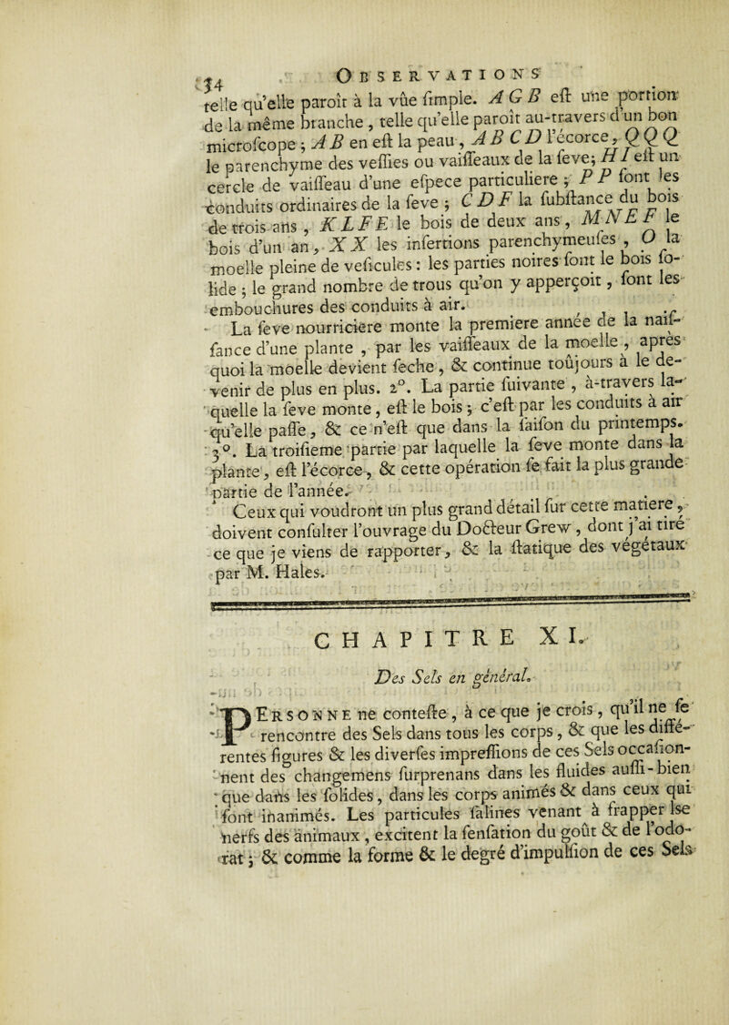 telle quelle paroît à la vue (Impie. A G B eft une portion de la même branche , telle quelle paroît au-traversdun bon microfcope ; i^eneft la peau, XB CD 1 ecorce, O O Q_ le uarenchyme des veffies ou vaiffeaux de la leve; H1 e t un cercle de vaiffeau d’une efpece particulière -, P F (ont les conduits ordinaires de la leve ; C D F la fubftance du bois de trois ans , K LF K le bois de deux ans, MNEE e bois d’un an, XX les infertions parenchymeufes ü la moelle pleine de veftcuks : les parties noires font le bois o- lide ; le grand nombre de trous qu’on y apperçoit, (ont les • embouchures des conduits à air. , , - La feve nourricière monte la première annee de la naii- fance d’une plante , par les vaiffeaux de la moelle , apres quoi la moelle devient feche , & continue toujours a le e- venir de plus en plus. 2°. La partie luivante , à-travers a- f quelle la feve monte, eft le bois y c’eftpar les conduits a air -quelle paffe, & ce n’eft que dans la faifon du printemps. 3°. La troifieme partie par laquelle la feve monte dans la plante ^ eft l’écorœ, & cette opération fe fait la plus grande nârtie de Lannée.- 7': - . Ceux qui voudront un plus grand détail fur cette matière ^ doivent confulter l’ouvrage du Do&eur Grew , dont j ai tire ce que je viens de rapporter * & la ftatique des végétaux CHAPITRE XL Des Sels en général* ■ P E R s O N N E ne contefte , à ce que je crois, qu il ne; fe l rencontre des Sels dans tous les corps, & que les dîne- rentes figures & les diverfes impreffions de ces Sels occasion¬ nent des changement furprenans dans les fluides aulii-bieii v que dans les folides, dans les corps animés & dans ceux qui font inanimés. Les particules fàlines venant à frapper lse nerfs des animaux , excitent la fenfation du goût & de 1 odo¬ rat j & comme la forme & le degré d’impulfion de ces Selv
