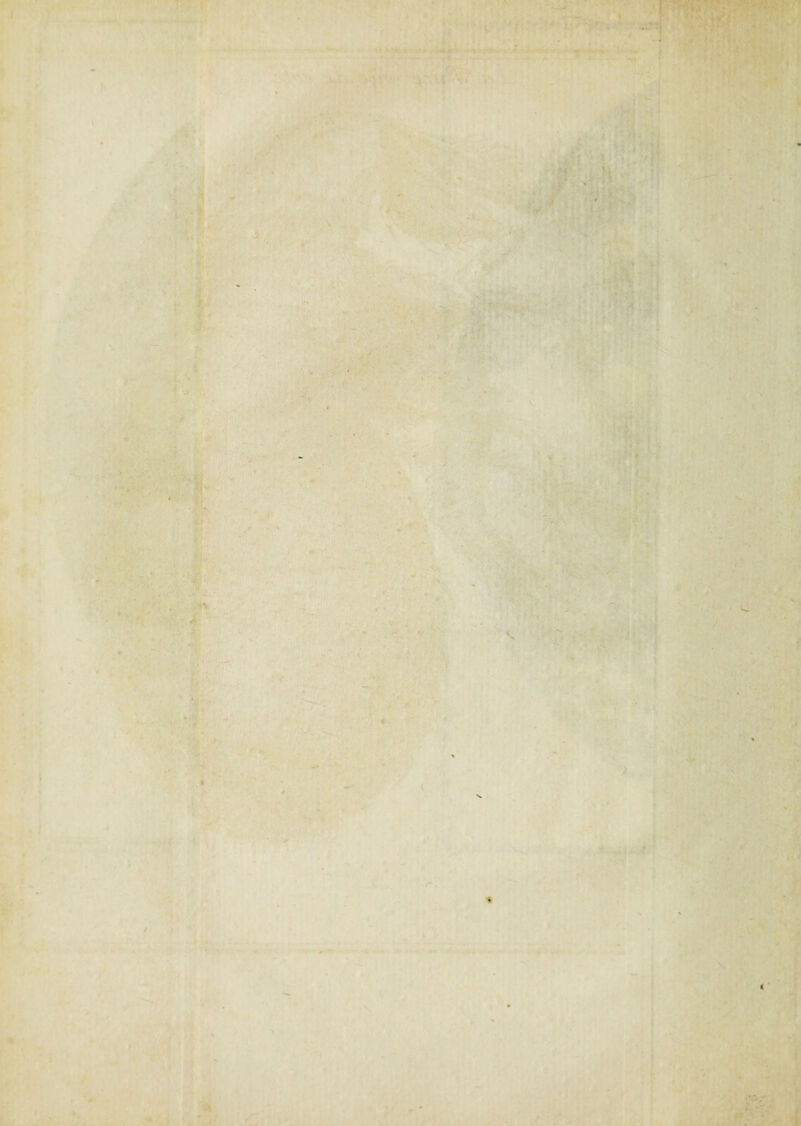 ' M • . . ^ . ' «