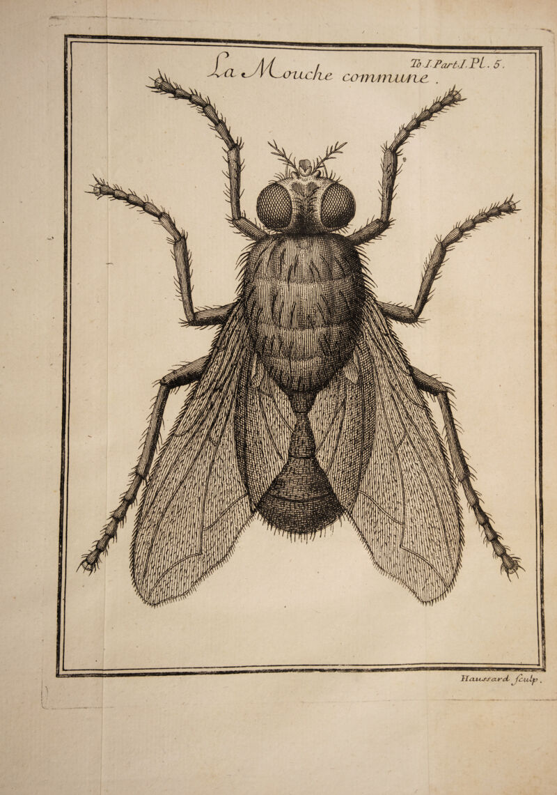 Il clvoss es. rd {culf?