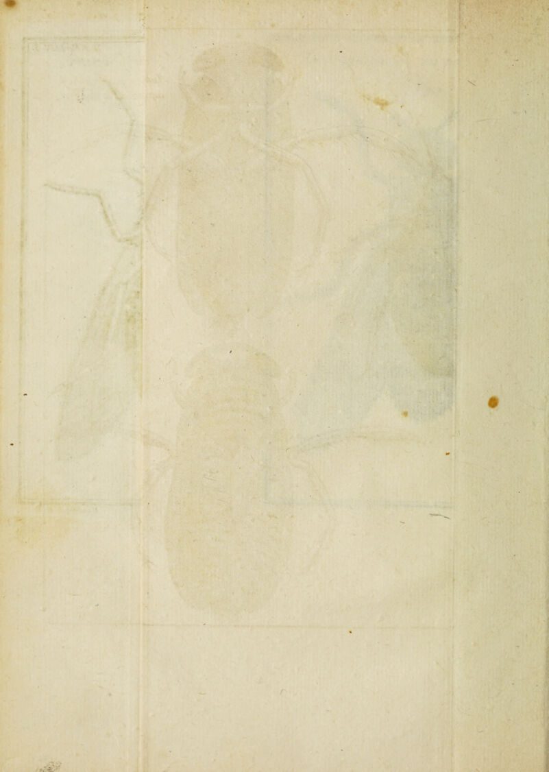 , , ■ ■ ■ • *f - I . • ■ ' ' » - • ' r . ' . ' ’ \ *1'