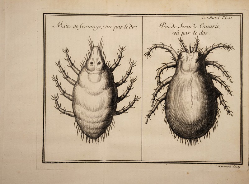 « / (//<.’ Dejramacfc, <vtïc nar Le rW To. JPart. J • F L .JO , PPcni De Serin de Cancu'ie, ‘Vu nar le dotj. ItoilSS ai'd. tfC4L U fl