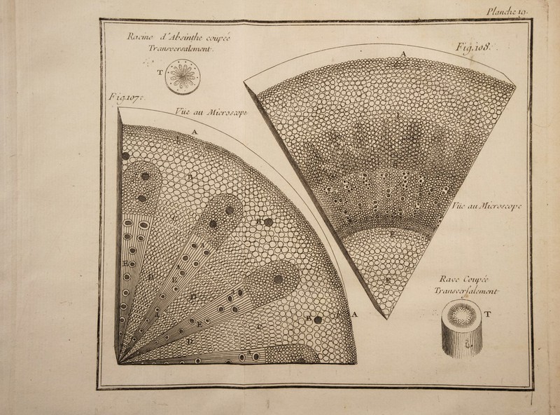 Fl andu lutinu' i/ Al'cindie cenifee Ti \ nuversahtmnt. Fia,wd.\