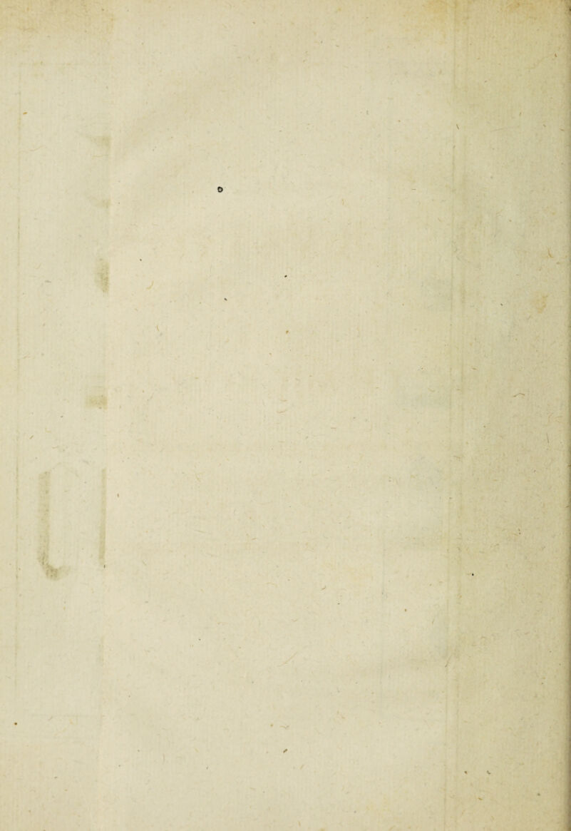 - i -• — , • ' . • . ■ T ‘ ~ j* j • - * • >? i ' - i * v