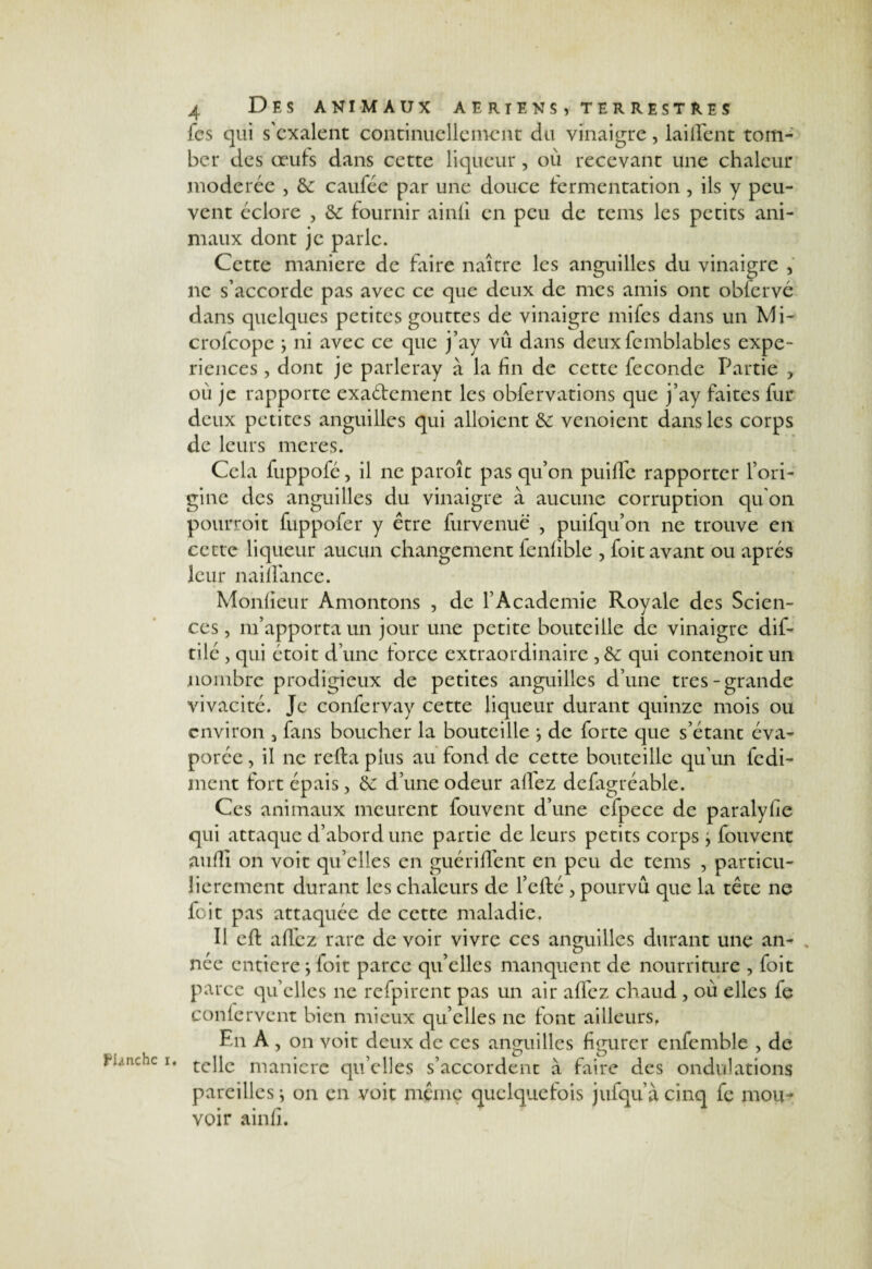hUnchc i fcs qui s'cxalent continuellement du vinaigre, laiifent tom¬ ber des œuls dans cette liqueur, où recevant une chaleur modérée , &: caufée par une douce fermentation , ils y peu¬ vent éclore , &c fournir ainli en peu de tems les petits ani¬ maux dont je parle. Cette maniéré de faire naître les anguilles du vinaigre , ne s’accorde pas avec ce que deux de mes amis ont obierve dans quelques petites gouttes de vinaigre mifes dans un Mi- crofcope ; ni avec ce que j’ay vû dans deuxfemblables expé¬ riences , dont je parleray à la fin de cette fécondé Partie y où je rapporte exactement les obfervations que j’ay faites fur deux petites anguilles qui alloient &: venoient dans les corps de leurs meres. gine des anguilles du vinaigre à aucune corruption qu'on pourroit fuppofer y être fur venue , puifqu’on ne trouve en cette liqueur aucun changement fenfible , foit avant ou après leur nailPance. Monfieur Amontons , de l’Academie Royale des Scien¬ ces , m’apporta un jour une petite bouteille de vinaigre dif- tilé , qui étoit d’une force extraordinaire, qui contenoit un nombre prodigieux de petites anguilles d’une très-grande vivacité. Je confervay cette liqueur durant quinze mois ou environ 3 fans boucher la bouteille } de forte que s’étant éva¬ porée , il ne relia plus au fond de cette bouteille qu’un fedi- ment fort épais, tk d’une odeur allez defagréable. Ces animaux meurent fouvent d’une cfpece de paralyfie qui attaque d’abord une partie de leurs petits corps ÿ fouvent aufii on voit qu’elles en guérilïent en peu de tems , particu¬ lièrement durant les chaleurs de fefté, pourvu que la tête ne foit pas attaquée de cette maladie. Il elt allez rare de voir vivre ces anguilles durant une an¬ née entière ; foit parce qu’elles manquent de nourriture , foit parce quelles ne refpircnt pas un air allez chaud , où elles fe conlervent bien mieux qu’elles ne font ailleurs, En A , on voit deux de ces anguilles figurer enfemble , de * telle maniéré qu’elles s’accordent à faire des ondulations pareilles ; on en voit même quelquefois jufqu’à cinq fe mou¬ voir ainfi.