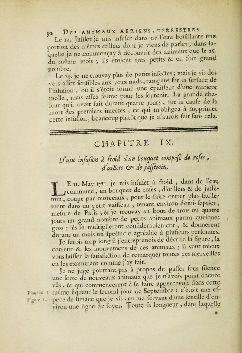 Le 14. Juillet je mis infufer dans de 1 eau bouillante une portion, des mêmes œillets dont je viens de parler , dans la¬ quelle je ne commençay à découvrir des animaux que le 2.S, du même mois i ils étoient très-petits & en tort grand nombre. _ ^ • • • j Le z9. je ne trouvay plus de petits infectes-, mais je vis des vers allez fenlibles aux yeux nuds, rampans fur la lurface de 1-ïnfuiion , où il s’étoit formé une épaifleur d une matière molle , mais allez ferme pour les foutemr. La grande cha¬ leur qu’il avoir fait durant quatre jours , lut la caule de la mort des premiers infectes , ce qui m’obligea a lupprimer cette infufion, beaucoup plutôt que je n’aurois lait fans cela. CHAPITRE IX. D’une infufion a froid fi un bouquet eompofé de rofes , fi oeillets & de jajfemin. planche y figure 1 • LE ii. May 1711. je mis infufer à froid , dans de leau commune , un bouquet de rofes , d œillets & de jaile- min , coupé par morceaux, pour le faire entrer plus facile¬ ment dans un petit v ai fléau , tenant environ demi-leptier > mefure de Paris -, 6e je trouvay au bout de trois ou quatre jours un grand nombre de petits animaux parmi quelques o-ros : ils fe multiplièrent conliderablement > & donnèrent durant un mois un ipeébacle agréable a plufieurs perfonnes. Je ferois trop long fi j entreprenois de décrire la figure , la couleur & les mouvemens de ces animaux *, il vaut mieux vous laiffer la fatisfaétion de remarquer toutes ces merveilles en les examinant comme j ay fait. Je ne juge pourtant pas à propos de paner fous lilence une forte de nouveaux animaux que je navois point encore vus, ëe qui commencèrent à fe faire appercevoir dans cette meme liqueur le fécond jour de Septembre : c etoit une ei- pece de limace que je vis , en me fervant dune lentille d en¬ viron une ligne de loyer. Toute fa longueur ? dans laqucllp