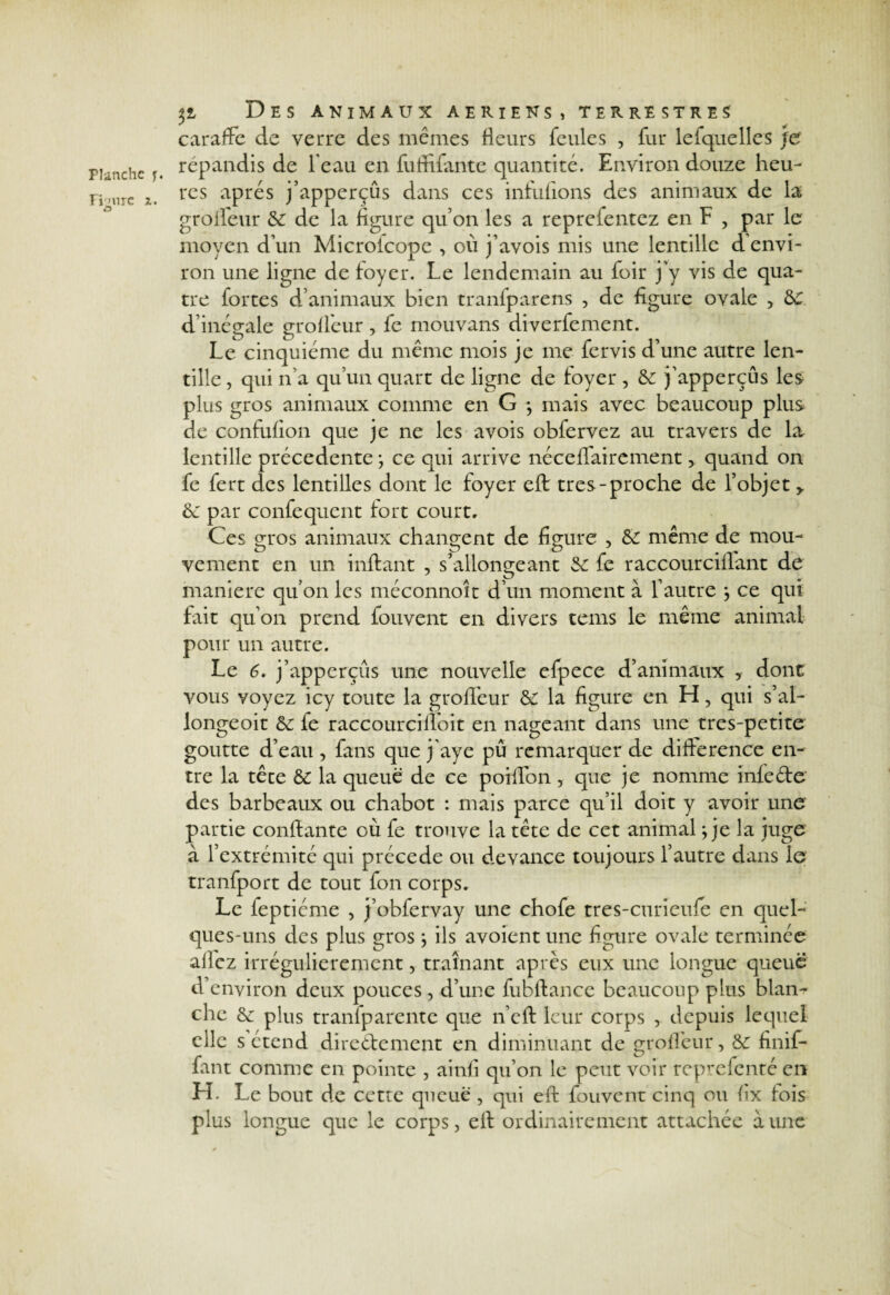 Traire z. £> yi Des animaux aeriens, terrestres caraffe de verre des mêmes fleurs feules , fur lefquelles je répandis de l'eau en fuffifante quantité. Environ douze heu¬ res apres j’appcrçûs dans ces infufions des animaux de la grofleur 6c de la figure qu’on les a repreientez en F , par le moyen d’un Microlcope , où j’avois mis une lentille d envi¬ ron une ligne de foyer. Le lendemain au loir j'y vis de qua¬ tre fortes d’animaux bien tranfparens , de figure ovale 5 6c. d’inégale grofl'eur, fe mouvans diverfement. Le cinquième du même mois je me fervis d’une autre len¬ tille , qui n’a qu’un quart de ligne de foyer , 6c j’apperçûs les plus gros animaux comme en G ; mais avec beaucoup plus de confufion que je ne les avois obfervez au travers de la lentille précédente ; ce qui arrive né ce flaire ment > quand on fe fert des lentilles dont le foyer eft très-proche de l’objet y 6c par confequent fort court. Ces gros animaux changent de figure , 6c même de mou- vement en un inftant , s’allongeant 6c fe raccourciflant de maniéré qu’on les méconnoît d’un moment à l’autre ^ ce qui fait qu’on prend fouvent en divers tems le même animal pour un autre. Le 6. j’apperçûs une nouvelle cfpece d’animaux , dont vous voyez icy toute la grofl'eur 6c la figure en H, qui s’al- longeoit 6c fe raccourcifloit en nageant dans une tres-petite goutte d’eau , fans que j’aye pu remarquer de différence en¬ tre la tête 6c la queue de ce poiflon, que je nomme infeéfe des barbeaux ou chabot : mais parce qu’il doit y avoir une partie confiante où fe trouve la tête de cet animal ; je la juge à l’extrémité qui précédé ou devance toujours l’autre dans le tranfport de tout fon corps. Le feptiéme , j’obfervay une chofe tres-curieufe en quel¬ ques-uns des plus gros ; ils avoient une figure ovale terminée allez irrégulièrement, traînant après eux une longue queue d’environ deux pouces, d’une fubftance beaucoup plus blan¬ che 6c plus tranfparente que n’eft leur corps , depuis lequel clic s étend direéfement en diminuant de grofleur, 6c finif- fant comme en pointe , ainfi qu’on le peut voir reprefenré en H. Le bout de cette queue , qui eft fouvent cinq ou fix fois plus longue que le corps, eft ordinairement attachée à une