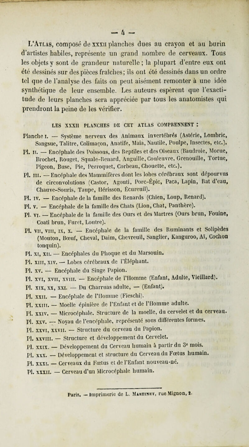 L’Atlas, composé de xxxu planches dues au crayon et au burin d’artistes habiles, représente un grand nombre de cerveaux. Tous les objets y sont de grandeur naturelle ; la plupart d’entre eux ont été dessinés sur des pièces fraîches; ils ont été dessinés dans un ordre tel que de l’analyse des faits on peut aisément remonter à une idée synthétique de leur ensemble. Les auteurs espèrent que l’exacti¬ tude de leurs planches sera appréciée par tous les anatomistes qui prendront la peine de les vérifier. LES XXXII PLANCHES DE CET ATLAS COMPRENNENT : Planche i. — Système nerveux des Animaux invertébrés (Astérie, Lombric, Sangsue, Talitre, Colimaçon, Anatife, Maia, Nautile, Poulpe, Insectes, etc.). PI. ii. — Encéphale des Poissons, des Reptiles et des Oiseaux (Baudroie, Morue, Brochet, Rouget, Squale-Renard, Anguille, Couleuvre, Grenouille, Tortue, Pigeon, Buse, Pie, Perroquet, Corbeau, Chouette, etc.). PI. ni.—Encéphale des Mammifères dont les lobes cérébraux sont dépourvus de circonvolutions (Castor, Agouti, Porc-Épic, Paca, Lapin, Rat d’eau, Chauve-Souris, Taupe, Hérisson, Écureuil). PI. iv. — Encéphale de la famille des Renards (Chien, Loup, Renard). Pl. v. — Encéphale delà famille des Chats (Lion, Chat, Panthère). Pl. vi, — Encéphale de la famille des Ours et des Martres (Ours brun, Fouine, Coati brun, Furet, Loutre). Pl. vit, vm, ix, x. — Encéphale de la famille des Ruminants et Solipèdes (Mouton, Bœuf, Cheval, Daim, Chevreuil, Sanglier, Kanguroo, AI, Cochon tonquin). PI. xi, xii. — Encéphales du Phoque et du Marsouin. Pl. xiii, xiv. — Lobes cérébraux de l’Éléphant. Pl. xv. — Encéphale du Singe Papion. Pl. xvi, xvn, xvin. — Encéphale de l’Homme (Enfant, Adulte, Vieillard). Pl. xix, xx, xxi. — Du Charmas adulte, — (Enfant). Pl. xxn. — Encéphale de l’Homme (Fieschi). Pl. xxiii. — Moelle épinière de l’Enfant et de l’Homme adulte. Pl. xxiv. — Microcéphale. Structure de la moelle, du cervelet et du cerveau. Pl. xxv. — Noyau de l’encéphale, représenté sous différentes formes. Pl. xxvi, xxvii. — Structure du cerveau du Papion. Pl. xxviii. — Structure et développement du Cervelet. Pl. xxix. — Développement du Cerveau humain à partir du be mois. Pl. xxx. — Développement et structure du Cerveau du Fœtus humain. Pl. xxxi. — Cerveaux du Fœtus et de l’Enfant nouveau-né. Pl. xxxii. — Cerveau d’un Microcéphale humain.