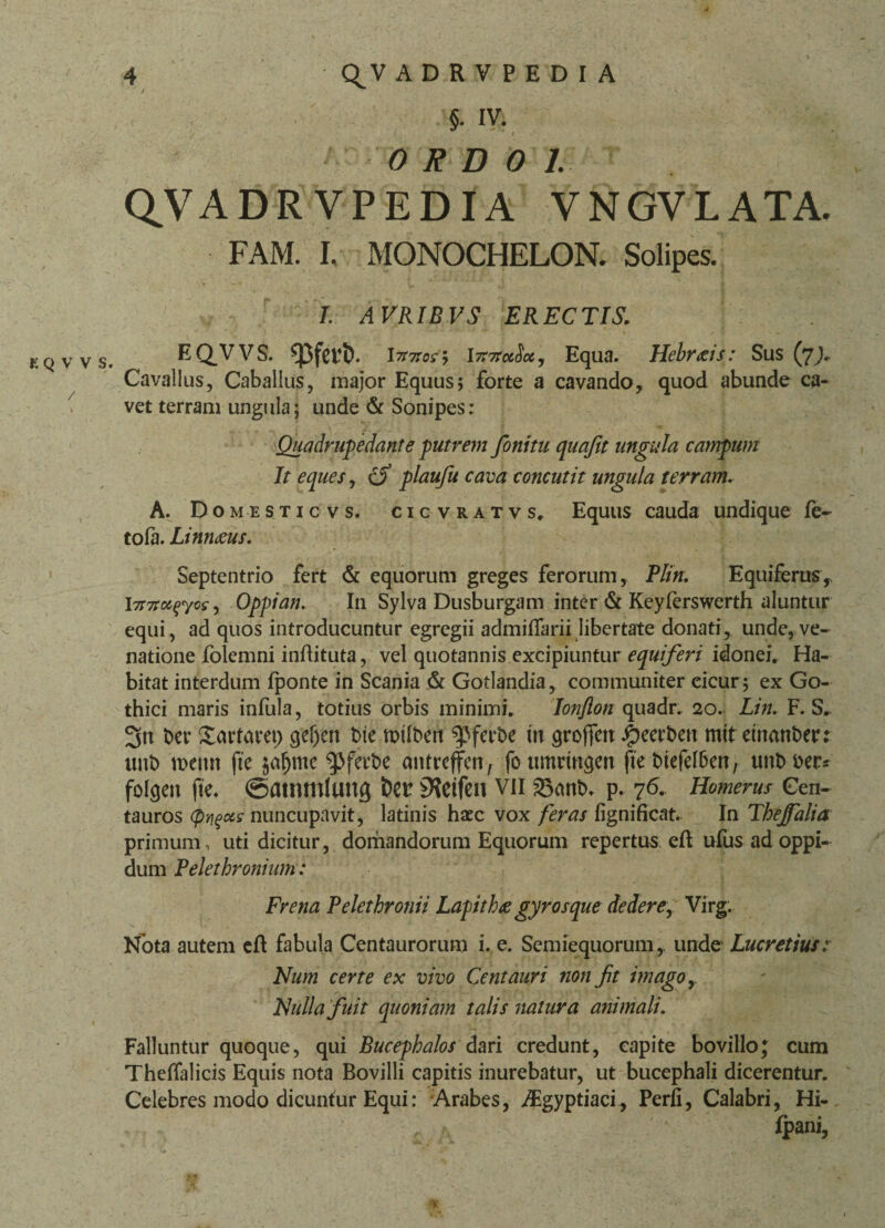 / 4 <^V ADRVPEDIA §■ IV. < l 0 R D 0 1. QVADRVPEDIA VNGVLATA. FAM. I. MONOCHELON. Solipes. I. AVRIBVS ERECTIS. EQ_VVS. 17T7tosy 1777tu$otj Equa. Hebraeis: Sus (j). Cavallus, Caballus, major Equus5 forte a cavando, quod abunde ca¬ vet terram ungula; unde & Sonipes: Quadrupedante putrem fonitu cpuafit ungula campum It eques, £$ plaufu cava concutit ungula terram. A. Domesticvs. cic vratvs, Equus cauda undique fe- tofa. Linnaeus. Septentrio fert & equorum greges ferorum, Plin. Equiferus, \7t7tct(>yos, Oppian. I11 Sylva Dusburgam inter & Keyferswerth aluntur equi, ad quos introducuntur egregii admiflarii libertate donati, unde, ve¬ natione folemni inflituta, vel quotannis excipiuntur equiferi idoneir Ha¬ bitat interdum fponte in Scania & Gotlandia, communiter cicur; ex Go¬ thici maris infula, totius orbis minimi. Ionflon quadr. 20. Lin. F. S. 3« ber Xarfaret) qef)en t>ie ttMlben ^ferbe in qroftm £>eerben mit eumnbet* unb mnn fie $aljmc ‘ipferbe antreffcrt, foumrmqen fte btefelben, unbber* folgeit fte. ©atnmlung ber ^etfen vil 23cmb. p. 76.. Homerus Cen¬ tauros (pqqois nuncupavit, latinis haec vox feras fignificat. In Theffalia primum, uti dicitur, domandorum Equorum repertus eft ufus ad oppi¬ dum Pelethronium: Frena Pelethronii Lapith<e gyrosque dedere, Virg. Nota autem e fi fabula Centaurorum i. e. Semiequorum, unde Lucretius: Num certe ex vivo Centauri non fit imago r Nulla fuit quoniam talis natura animali. Falluntur quoque, qui Bucephalos dari credunt, capite bovillo; cum Theflalicis Equis nota Bovilli capitis inurebatur, ut bucephali dicerentur. Celebres modo dicuntur Equi: Arabes, TEgyptiaci, Perii, Calabri, Hi- - * (pani, ♦ ♦