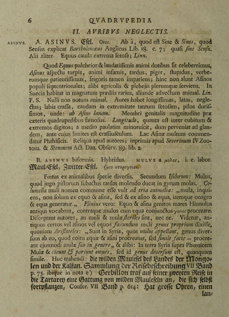 II AVRIBVS NEGLECTIS. A. ASINVS. ©feb Oi'o<r. Ab a, quod eft Sine & Sinos, quod Senius explicat Bartholomsiis Anglicus Lib. 18. c. 7; quali fine Senfu. Alii aliter. Equus cauda extrema letofa; Linn. Quod Equus pulchrior & laudatiffimis animi dotibus fit celeberrimus, Afinus afpedu turpis, animi infamis, tardus, piger, ftupidus, verbe¬ rumque patientiffimus, frigoris tamen impatiens; hinc non alunt Afinos populi feptentrionales; alibi agricolis & plebejis plerumque ferviens. In Suecia habitat in magnatum prxdiis rarius, aliunde adveclum animal. Lin. F. S. Nulli non notum animal. Aures habet longiffimas, latas , negle¬ gas; labia cralfa, caudam in extremitate tantum fetofam, pilos durif. fimos, unde: ab Afino lanam. Membri genitalis magnitudine prx exteris quadrupedibus famofus. Longitudo, quanta eft inter cubitum & extremos digitos; a medio paulatim minorefeit, dum perveniat ad glan¬ dem, ante cujus limites eft crafiiuiculum. Lac Afinx multum commen¬ datur Phthificis. Reliqua apud autores; inprimis apud Severinum IVZoo- tom. & Stenoncm Ad. Dan. Obferv. 89- lib. 2. B. asin vs biformis. Hybridus. mulvs a /uoXos, i. e. labor. faov srs^cyovov. Foetus exanimalibus fpecie diverfis. Secundum Ifidorum: Mulus, quod jugo piftorum fubadus tardas molendo ducat in gyrum molas. Co¬ lumella muli nomen commune effe vult ad tria animalia: „mula, inqui- ens, non iolum ex equo & afina, fed & ex afino & equa, itemque onagro & equa generatur.,, Plinius vero.: Equo & afina genitos mares Hinnulos antiqui vocabant, contraaue mulos cum equa conjundosy/wos-procreare. Difceptant autores, an muli & ixuAxfteriles fint, necne. Videtur, an¬ tiquos certos vel afinos vel equosfoecundum muli genus proprium dixi (Te, quoniam Arifioteles: „Sunt in Syria, quos mulos appellant, genus diver- fum ab eo, quod coitu equx & afini procreatur, fed Jimtle facie — procre¬ ant ejusmodi mulae fiuo in genere„ & alibi: In terra Syria fupra Phoenicem Mula: & coeunt (fi pariunt omnes, fed id genus diverfum eft, quanquam fimile. Huc trahendi rotlDeu SDTautcfel t>e£ CanDetf fre? tTTongo* l m unt) tw^alfan. Sammlung Oer ?leifebefdt>reibimg vn 33an& p. 75. ibique in nota e) (Betbition traf auf feiner §n?ct>tett 9Jeife m fcte Sartatet) eitie ©aftung m\ nri(i>en SWauIefeltt an, t>te ftcO felbft fcrtpftanscu, Confer, vn 23anD p. 614; £at gccfje Ojnwt, ctnett