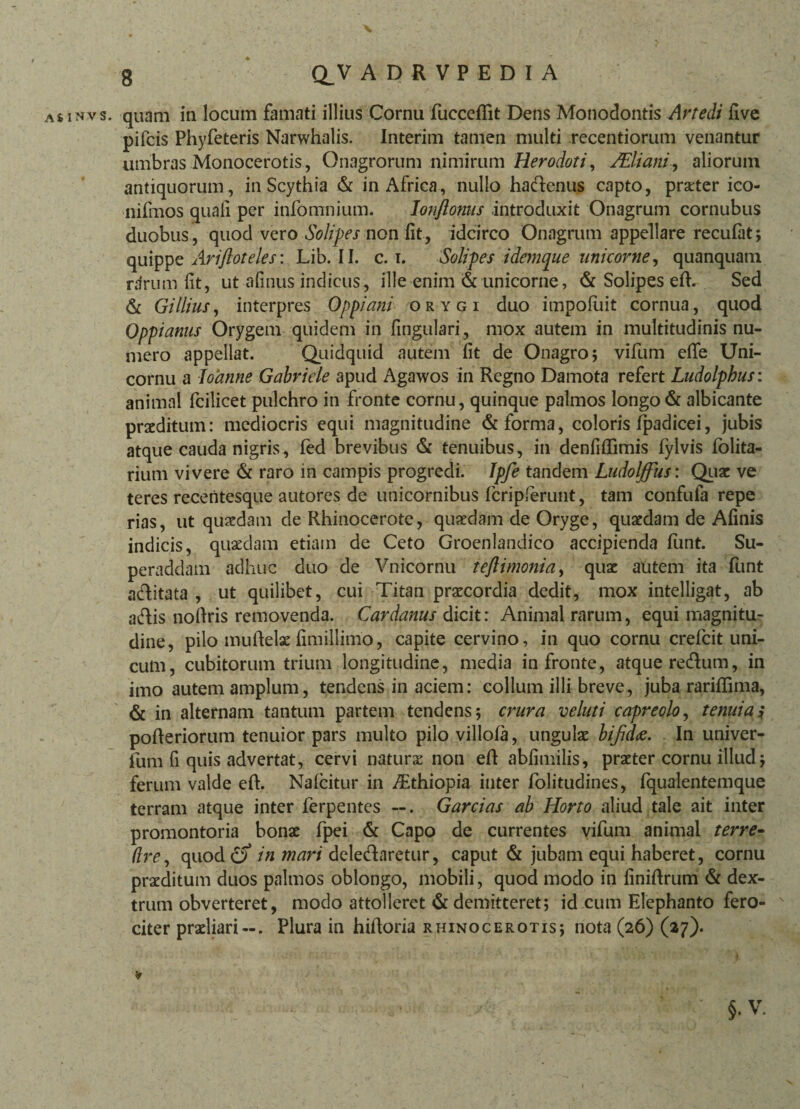 AtiNvs. quam in locum famati illius Cornu fucceflit Dens Monodontis Artedi live pifcis Phyfeteris Narwhalis. Interim tamen multi recentiorum venantur umbras Monocerotis, Onagrorum nimirum Herodoti, /Eliani, aliorum antiquorum, in Scythia & in Africa, nullo hactenus capto, praeter ico- nifmos quali per infomnium. lonjlonns introduxit Onagrum cornubus duobus, quod vero Solipes non lit, idcirco Onagrum appellare recufiit; quippe Ariftoteles: Lib. 11. c. i. Solipes idemque unicorne, quanquam rdrum fit, ut afinus indieus, ille enim & unicorne, & Solipes eft. Sed & GiIlius, interpres Oppiam orygi duo impofuit cornua, quod Qppianus Orygem quidem in lingulari, mox autem in multitudinis nu¬ mero appellat. Quidquid autem fit de Onagro 5 vifum elfe Uni- cornu a loatine Gabriele apud Agawos in Regno Damota refert Ludolphus: animal fcilicet pulchro in fronte cornu, quinque palmos longo & albicante praeditum: mediocris equi magnitudine & forma, coloris fpadicei, jubis atque cauda nigris, fed brevibus & tenuibus, in denfiflimis fylvis folita- rium vivere & raro m campis progredi. Ip/te tandem LudoIffus: Quae ve teres receritesque autores de unicornibus fcriplerunt, tam confufa repe rias, ut quaedam de Rhinocerote, quaedam de Oryge, quaedam de Afinis indicis, quaedam etiam de Ceto Groenlandico accipienda funt. Su¬ peraddam adhuc duo de Vnicornu teftimonia, quae alitem ita funt aditata , ut quilibet, cui Titan praecordia dedit, mox intelligat, ab adis nollris removenda. Cardanus dicit: Animal rarum, equi magnitur dine, pilo muftelaefimillimo, capite cervino, in quo cornu crefcit uni¬ cum, cubitorum trium longitudine, media in fronte, atque redum, in imo autem amplum, tendens in aciem: collum illi breve, juba rariffima, & in alternam tantum partem tendens; crura veluti capreolo, tenuia i poReriorum tenuior pars multo pilo villola, ungulae bifid<e. In univer- fum fi quis advertat, cervi naturae non eft abfimilis, praeter cornu illud; ferum valde efh Nalcitur in ZEthiopia inter folitudines, fqualentemque terram atque inter ferpentes —. Garcias ab Horto aliud tale ait inter promontoria bonae fpei & Capo de currentes vifum animal terre- (lrey quod in mari deledaretur, caput & jubam equi haberet, cornu praeditum duos palmos oblongo, mobili, quod modo in finiftrum & dex¬ trum obverteret, modo attolleret & demitteret; id cum Elephanto fero¬ citer praeliari-. Plura in hifloria rhinocerotis; nota (26) (27). • ? **- 'U: ■ . t Z i .< ' - ‘ -V. i ‘ 4 <r §. v.