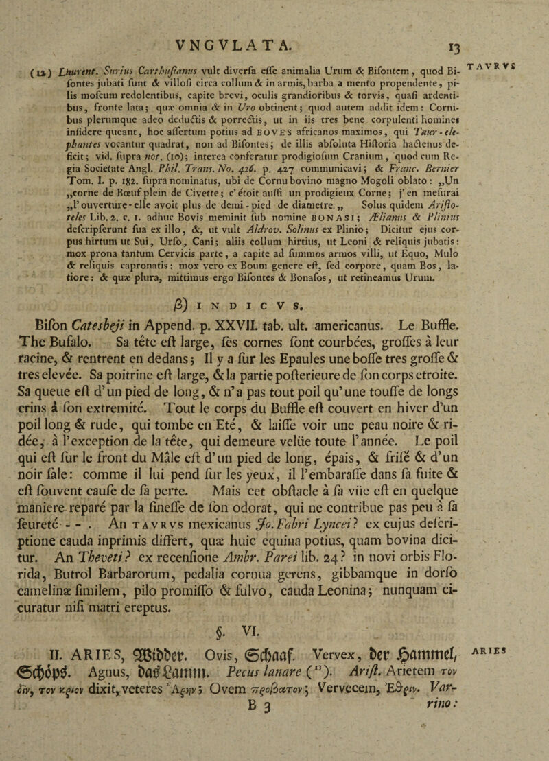 *3 (l%) Lhurent. Furius Carthiijianus vult diverfa efle animalia Urum & Bifontem, quod Bi- fontes jubati funt & villofi circa collum & in armis,barba a mento propendente, pi¬ lis mofcum redolentibus, capite brevi, oculis grandioribus & torvis, quafi ardenti¬ bus, fronte lata; qux omnia & in Uro obtinent; quod autem addit idem: Corni¬ bus plerumque adeo dedu&is & porrectis, ut in iis tres bene corpulenti homines infidere queant, hoc aflertum potius ad BOVES africanos maximos, qui Taur-ele¬ phantes vocantur quadrat, non ad Bifontes; de illis abfoluta Hiftoria ha&enus de¬ ficit; vid. fupra not. (10); interea conferatur prodigiofum Cranium, quod cum Re¬ gia Societate Angi. Phil. Trans. No. 426. p. 427 communicavi; & Franc. Bernier Tom. I. p. ig2. fupra nominatus, ubi de Cornu bovino magno Mogoli oblato: ,,Un „corne de Bceuf plein de Civette; c’ etoit aufii un prodigieux Corne; j’ en mefurai ,,1’ouverture-elle avoit plus de demi-pied de diametre.,, Solus quidem Arijlo- teles Lib.2. c. 1. adhuc Bovis meminit fub nomine bonasi; TElianus & Plinius defcripferunt fua ex illo, ut vult Aldrov. Solinus ex Plinio; Dicitur ejus cor¬ pus hirtum ut Sui, Urfo, Cani; aliis collum hirtius, ut Leoni & reliquis jubatis: mox prona tantum Cervicis parte, a capite ad fummos armos villi, ut Equo, Mulo & reliquis capronatis: mox vero ex Boum genere eft, fed corpore, quam Bos, la¬ tiore : & quae plura, mittimus ergo Bifontes & Bonafos, ut retineamus Urum. TAVRVS /3) I N D I C V S. Bifon Catesbeji in Append. p. XXVII. tab. ult. americanus. Le Buffle. The Bufalo. Sa tete eft large, fes cornes font courbees, groffes a leur racine, & rentrent en dedans; II y a fur les Epaules uneboffe tres groffe & treselevee. Sa poitrine eft large, &la parde pofterieure de foncorpsetroite. Sa queue eft d’un pied de long, & n’a pas tout poil qifune touffe de longs crins i fon extremite. Tout le corps du Buffle eft couvert en hiver d’un poil long & rude, qui tombe en Ete, & laiffe voir une peau noire & ri- dee, a 1’exception de la tete, qui demeure veliie toute 1’annee. Le poil qui eft fur le front du Male eft d’un pied de long, epais, & frile & d’un noir fale: comme il lui pend fur les yeux, il fembaraffe dans fa fuite & eft fouvent caufe de fa perte. Mais cet obftacle a fa viie eft en quelque maniere repare par la fineffe de fon odorat, qui ne contribue pas peu a fa feurete - - . An tavrvs mexicanus ^o. Fabri Lyncei? ex cujus defcri- ptione cauda inprimis differt, quae huic equina potius, quam bovina dici¬ tur. An Tbeveti? ex recenlione Ambr. Par ei lib. 24? in novi orbis Flo¬ rida, Butrol Barbarorum, pedalia cornua gerens, gibbamque in dorfo camelinae fimilem, pilo promiffo & fulvo, cauda Leonina 5 nunquam ci¬ curatur nili matri ereptus. 'iX §• VI. 11. aries, gjMbber. Ovis, ©cbaaf. Vervex, ber £ammef, ARIES ©cAgnus, bfflf&UTlttt. Pecus lanare (”). Arift. Arietem tov oivy tov Kpov dixit, veteres 3 A^v j Ovem 7;%o$cctcv\ Vervecem, Var-