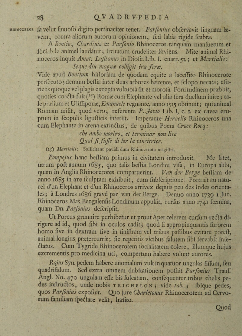 -P 28 Q_V ADRVPEDIA rhinoceros, fn vclut finuofo digito pertinaciter tenet. Parfonius obfervavit linguam lae¬ vem, contra aliorum autoruui opinionem, fed labia rigide fcabra; A Bontio, Chardinio et Parfonio Rhinoceros tanquam manfuetum et fociubile animal laudatur; irritatum crudeliter ikviens. Mite animal Rhi¬ noceros inquit Amat. Lufitanus in Diofc. Lib. I. enarr.52 ; et Martialis: Seque diu magna colligit ira fera. Vide apud Bonrium hidoriam de quodam equite a lacedito Rhinocerote pcrfecuto; demum bedia inter duas arbores haerente, et fclopo necata; e fu¬ riens quoque vel plagis excepta vultuofa fit etmoroia. Fortitudinem praebuit, quoties coada fuit(^) Romae cum Elephante vel alia fera duellum inire; ta¬ le praelium et Ulidiponae, Emanude regnante, anno 1515 obtinuit; qui animal Romam mifit, quod vero, referente P.ffovio Lib. I, c. 2 ex cavea eru¬ ptum in Icopulis ligudicis interiit. Imperante Heraclio Rhinoceros una cum Elephante in arena extindus, de quibus Poeta Croce Rocq: che ambo moriro, et ter minar non lice Qual fi fujfe di lor la vincitrice. (25} Martialis: Sollicitant pavidi dum Rhinocerota magiftri. Pompejus hanc bediam primus in civitatem introduxit. Me latet, utrum pod annum 1685, du0 tabs bedia Londini vifa, in Europa alibi, quam in Anglia Rhinocerotes comparuerint. Vati der Perge bediam de anno 1685 in aere fculptam exhibuit, cum fubfcriptione: Portrait au natu- rel d’un Elephant et d’un Rhinoceros arrivex depuis peu des Indes orienta¬ les; a Londres 1636 grave par van derBergc. Denuo anno 1739 1 Jun. Rhinoceros Mas BengalenfisLondinum appullit, rurfus anno 1741 fcemina, quam Dn. Parfimius defcriplit. Ut Porcus grunnire perhibetur et prout Aper celerem curium reda di¬ rigere ad id, quod libi in oculos cadit; quod ii appropinquantis furorem homo live in dextram five in finidram vel tribus paflibus evitare poted, animal longius praetercurrit; fic repetitis vicibus falutem fibi fervabit infe- datus. Cum Tygride Rhinocerotem focialitatem colere, illumque hujus excrementis pro medicina uti, compertum habere volunt autores. Rajus Syn. pedem habere anomalum vultinquatuor ungulas fidum, feu quadrifidum. Sed extra omnem dubitationem pofuit Par fortius Tranf Angi. No. 470 ungulam ede bis fulcatam, conlequenter tribus chelis pe¬ des indrudos, unde nobis trichelon; vide tab. ; ibique pedes, quos Parfonius expofuit. Quo jure Charletomts Rhinocerotem ad Cervo¬ rum familiam Ipedare velit, hadito. Quod