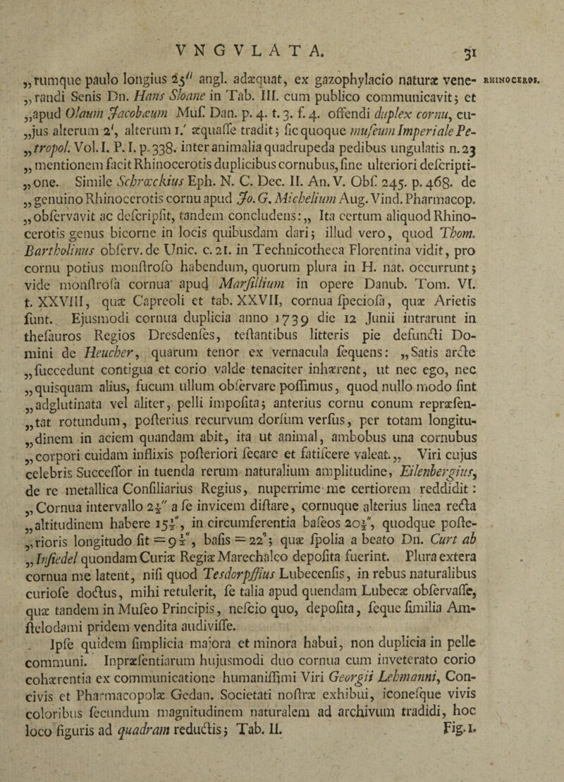 „rumque paulo longius angi, adaequat, ex gazophylacio naturae vene- rhinoceros. ,, randi Senis Dn. Haris Sloane in Tab. III. cum publico communicavit 5 et „apud Olaum Jacobaum Muf Dan. p. 4. t. 3. f. 4. offendi duplex cornu, cu- „jus alterum 2', alterum 1/ aequaffe tradit; fic quoque mu/eum Imperiale Pe- „tropol. Vol.I. P. I.p.338. inter animalia quadrupeda pedibus ungulatis n.23 „ mentionem lacit Rhinocerotis duplicibus cornubus, fine ulteriori delcripti- „one. Simile Scbrocckius Eph. N. C. Dec. II. An. V. Obf 245. p. 468. de „ genuino Rhinocerotis cornu apud Jo. G. Michelium Aug. Vind. Pharmacop. „oblervavit ac deferipiit, tandem concludens:,, Ita certum aliquod Rhino¬ cerotis genus bicorne in locis quibusdam dari; illud vero, quod Thom. Bartholinus obferv.de Unie. c. 21. in Technicotheca Florentina vidit, pro cornu potius monflrofo habendum, quorum plura in H. nat. occurrunt; vide monfirofa cornua apud Marfillium in opere Danub. Tom. VI. t. XXVIII, quae Capreoli et tab. XXVII, cornua fpeciofa, quae Arietis funt. Ejusmodi cornua duplicia anno 1739 12 Junii intrarunt in thefauros Regios Dresdenfes, teftantibus litteris pie defundi Do¬ mini de Heucher, quarum tenor ex vernacula fequens: „ Satis arde „fuccedunt contigua et corio valde tenaciter inhaerent, ut nec ego, nec „ quisquam alius, fucum ullum obiervare poffimus, quod nullo modo fint „adglutinata vel aliter, pelli impolita; anterius cornu conum repraefen- tat rotundum, polleri us recurvum dorium verfus, per totam longitu- „dinem in aciem quandam abit, ita ut animal, ambobus una cornubus corpori cuidam inflixis pofleriori fecnre et fatifeere valeat. „ Viri cujus celebris Succedor in tuenda rerum naturalium amplitudine, Eilenbergius, de re metallica Confiliarius Regius, nuperrime me certiorem reddidit: ,, Cornua intervallo 2^ a fe invicem difiare, cornuque alterius linea reda „ altitudinem habere 15I, in circumferentia bafeos 20T, quodque pofie- ,, rioris longitudo fit = 9 i, bafis =■ 22; quae Ipolia a beato Dn. Curt ab „ Injiedel quondam Curiae Regis Marechalco depolita fuerint. Plura extera cornua me latent, nili quod Tesdorpffius Lubecenfis, in rebus naturalibus curiofe dodus, mihi retulerit, fe talia apud quendam Lubecae obfervaffe, quae tandem in Mufeo Principis, nefeio quo, depolita, feque limilia Am* ftelodami pridem vendita audi ville. Ipfe quidem fimplicia majora et minora habui, non duplicia in pelle communi. Inpraefentiarum hujusmodi duo cornua cum inveterato corio cohaerentia ex communicatione humaniffjmi Viri Georgii Lehmanni, Con¬ civis et Pharmacopolae Gedan. Societati nofirae exhibui, iconelque vivis coloribus fecundum magnitudinem naturalem ad archivum tradidi, hoc loco figuris ad quadram redudis; Tab. II. Fig i*