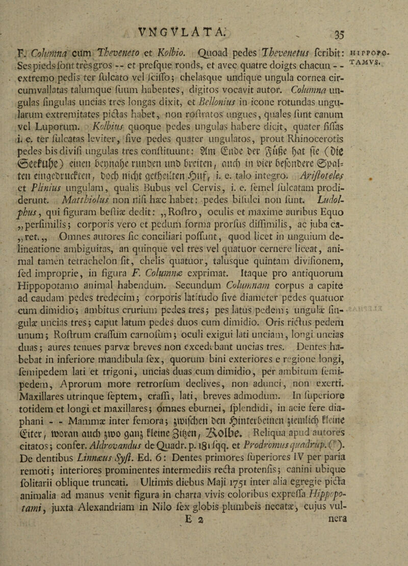 vn g vlata: F. Columna cum Theveneto et Kolbio. Quoad pedes 7hevenetus fcribit: Sespiedslonttresgros -- et prefque ronds, et avec quatredoigts chacim - - extremo pedis ter fulcato vel iciflo; chelasque undique ungula cornea cir¬ cumvallatas talumque fuum habentes, digitos vocavit autor. Columna un¬ gulas lingulas uncias tres longas dixit, et Bellonius in icone rotundas ungu¬ larum extremitates pictas habet, non rofiratos ungues, quales fiunt canum vel Luporum. Kolbius quoque pedes ungulas habere dicit, quater filias i. e. ter lulcatas leviter, live pedes quater ungulatos, prout Rhinocerotis pedes bisdivifi ungulas tres confiituunt: $(m (Eut)e t>ei* gujje (jat fte (DtC ©e.tfu&e) ettten bepnafje nmben unt> 6mtcn, and) tn t>icv 6efont>ere @pal- feu emqebuuf ten, t>ocl) nic&t qetijetiten Jpuf, i. e. talo integro. Arifloteles et Plinius ungulam, qualis Bubus vel Cervis, i. e. femel filicatam prodi¬ derunt. Matthiolus non nifi hacc habet: pedes bifulci non fimt. Ludol- phus, qui figuram beluae dedit: „Rofiro, oculis et maxime auribus Equo „ perlimilis; corporis vero et pedum forma prorfus diffimilis, ac juba ca- „ret. „ Omnes autores lic conciliari polTunt, quod licet in unguium de¬ lineatione ambiguitas, an quinque vel tres vel quafuor cernere liceat, ani¬ mal tamen tetrachelon fit, chelis quatuor, talusque quintam divifionem, led improprie, in figura F. Columna exprimat. Itaque pro antiquorum Hippopotamo animal habendum. Secundum Columnam corpus a capite ad caudam pedes tredecim; corporis latitudo five diameter pedes quatuor cum dimidio; ambitus crurium pedes tres; pes latus pedem; ungulae lin¬ gulae uncias tres; caput latum pedes duos cum dimidio. Oris r i cius pedem unum; Rofirum cratium carnofium; oculi exigui lati unciam, longi uncias duas; aures tenues parvae breves non excedebant uncias tres. Dentes ha¬ bebat in inferiore mandibula fex, quorum bini exteriores e regione longi, lentipedem lati et trigoni, uncias duas cum dimidio, per ambitum femi- pedem, Aprorum more retrorfum declives, non adunci, non exerti. Maxillares utrinque feptem, crafli, lati, breves admodum. Infuperiore totidem et longi et maxillares; omnes eburnei, fplendidi, in acie fere dia- phani - - Mammae inter femora; jmifefem t>en Jgmitet&emen tkm <£iter, morem aud) £tt>o qan§ fletne 2v0lbe* Reliqua apud autores citatos; confer. Aldrovandus deQuadr. p. 18‘lqq. et Prodromusquadrup.Q')• De dentibus Linnaeus Syfl. Ed. 6: Dentes primores luperiores IV per paria remoti; interiores prominentes intermediis reda protenfis; canini ubique fiolitarii oblique truncati. Ultimis diebus Maji 1751 inter alia egregie picla animalia ad manus venit figura in charta vivis coloribus expreffa Hippopo¬ tami, juxta Alexandriani in Nilo fex globis plumbeis necatae, cujus vul- E 2 nera HIPPOPO* TAMVS.