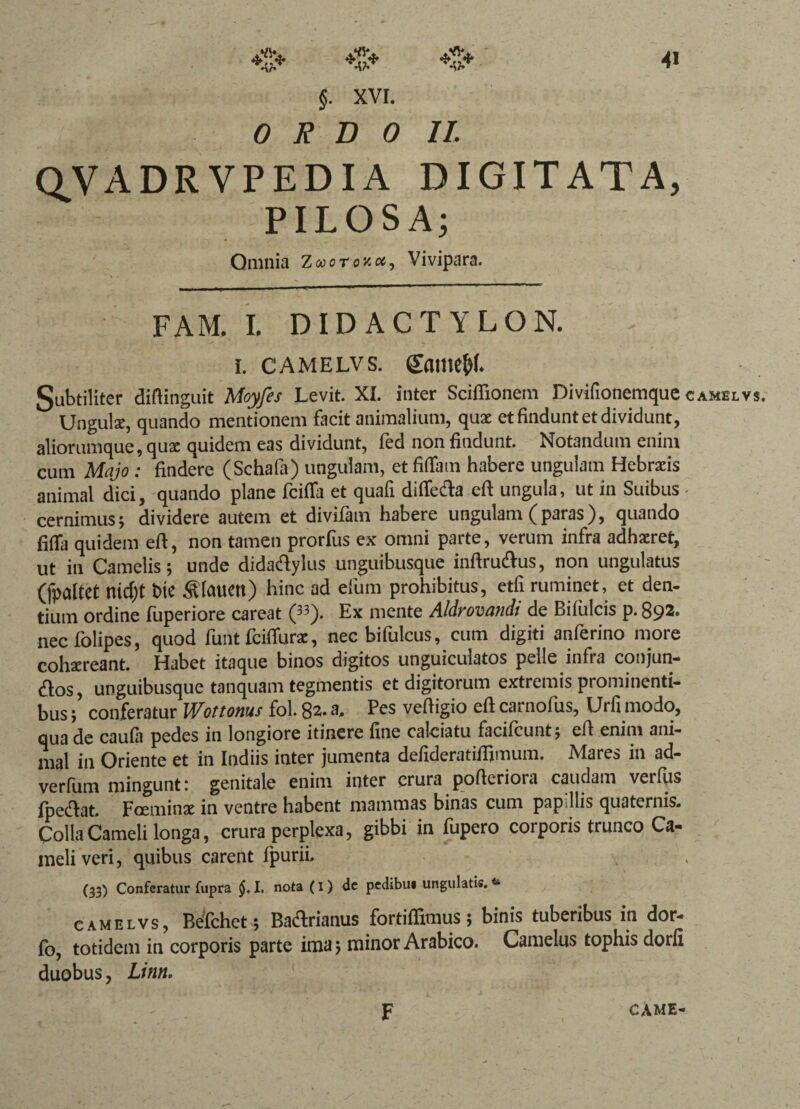 §. XVI. 0 R D 0 II. QVADRVPEDIA DIGITATA, PILOSA; Omnia Z oocroxot, Vivipara. FAM. I. DID ACT YLON. i. camelvs. game&f. Subtiliter didinguit Moyfes Levit. XI. inter Scifiionem Divifionemque camelvs. Ungulse, quando mentionem facit animalium, quae et findunt et dividunt, aliorumque, quae quidem eas dividunt, fed non findunt. Notandum enim cum Majo : findere (Schafa) ungulam, et fidam habere ungulam Hebraeis animal dici, quando plane fciffa et quafi diflfe&a eft ungula, ut in Suibus cernimus; dividere autem et divifam habere ungulam (paras), quando fida quidem eft, non tamen prorfus ex omni parte, verum infra adhzret, ut in Camelis; unde dida&ylus unguibusque inftru&us, non ungulatus (jpaltet nicf)t t>te hinc ad efum prohibitus, etfi ruminet, et den¬ tium ordine fuperiore careat p3). Ex mente Aldrovandi de Bifiilcis p. 892« nec folipes, quod funt fciffurae, nec bifulcus, cum digiti anferino more cohaereant. Habet itaque binos digitos unguiculatos pelle infra conjun- dos, unguibusque tanquam tegmentis et digitorum extremis prominenti¬ bus ; conferatur Wottonus fol. 82. a. Pes vedigio efi carnofus, Urfi modo, qua de caufa pedes in longiore itinere fine calciatu facifcunt; ed enim ani¬ mal in Oriente et in Indiis inter jumenta defideratidfjmum. Mares in ad- verfum mingunt: genitale enim inter crura poderiora caudam verius fpecdat. Fceminae in ventre habent mammas binas cum papillis quaternis. Colla Cameli longa, crura perplexa, gibbi in fupero corporis trunco Ca¬ meli veri, quibus carent fpuriL (33) Conferatur fupra §. I. nota (i) de pedibu* ungulatis.41 camelvs, Befchet; Badlrianus fortiflxmus; binis tuberibus in dor- fo, totidem in corporis parte ima; minor Arabico. Camelus tophis dorfi duobus, Linn.