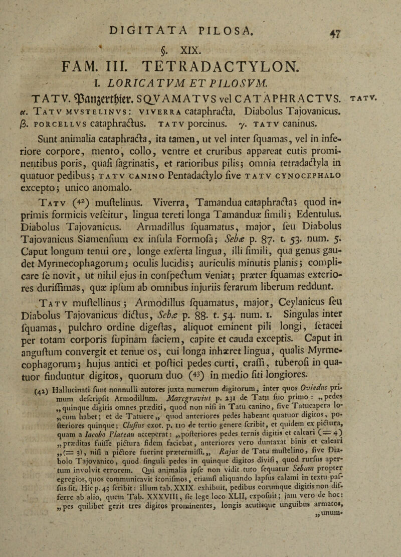 * _ §. XIX. FAM. III. TETRADACTYLON. I. LORICATVM ET PILOSVM. t atv. <patigertf>fer. sqv amatvs vel c at aphractvs. Tatv mvstelinvs: viverra cataphracta. Diabolus Tajovanicus. /3. porcellvs cataphra&us. tatv porcinus, y. tatv caninus. Sunt animalia cataphraCta, ita tamen, ut vel inter fquamas, vel in infe¬ riore corpore, mento, collo, ventre et cruribus appareat cutis promi¬ nentibus poris, quali lagrinatis, et rarioribus pilis; omnia tetradaCtyla in quatuor pedibus; tatv canino Pentada&ylo live tatv cynocephalo excepto; unico anomalo. Tatv (42) mufteliiius. Viverra, Tamandua cataphra&a> quod in- primis formicis vefcitur, lingua tereti longa Tamandua limili; Edentulus. Diabolus Tajovanicus. Armadillus Iquamatus, major, feu Diabolus Tajovanicus Siamenlium ex infula Formofa; Seb<e p. 87* t 53. num. 5. Caput longum tenui ore, longe exlerta lingua, illi limili, qua genus gau¬ det Myrmecophagorum; oculis lucidis; auriculis minutis planis; compli¬ care fe novit, ut nihil ejus in confpeCtum veniat; praeter fquamas exterio¬ res durillimas, quae ipfum ab omnibus injuriis ferarum liberum reddunt. Tatv muftellinus ; Armodillus fquamatus, major, Ceylanicus feu Diabolus Tajovanicus diCtus, Seb<e p. 88- t. 54. num. 1. Singulas inter fquamas, pulchro ordine digehas, aliquot eminent pili longi, letacei per totam corporis fupinam faciem, capite et cauda exceptis. Caput in anguftum convergit et tenue os, cui longa inhaeret lingua, qualis Myrme¬ cophagorum; hujus antici et pollici pedes curti, craffi, tuberoli in qua¬ tuor finduntur digitos, quorum duo (*3) in medio liti longiores. (4Z) Hallucinati funt nonnulli autores juxta numerum digitorum, inter quos Oviedits pri- mum defcripfit Armodillum. Marcgravius p. 231 de Tatu fuo primo: „ pedes ,,quinque digitis omnes prxditi, quod non nifi in Tatu canino, five Tatucapera lo- „cum habet; et de Tatuere,, quod anteriores pedes habeant quatuor digitos, po- fteriores quinque; Clujius exot. p. no de tertio genere fcribit, et quidem ex piftura, quam a Iacobo Vlatenti acceperat: „pofteriores pedes ternis digitis et calcari ( = 4) ,, prxditas fuifle pidhira fidem faciebat, anteriores vero duntaxat binis et calcari ,, (=z 3), nifi a pi&ore fuerint pnetermifli. „ Rajus de Tatu muftelino, five Dia* bolo Tajovanico, quod finguli pedes in quinque digitos divifi, quod rurfus aper¬ tum involvit errorem. Qui animalia ipfe non vidit tuto fequatur Sebum propter egregios, quos communicavit iconifmos, etiamfi aliquando lapfus calami in textu paf- fus fit. Hic p. 43 fcribit: illum tab. XXIX. exhibuit, pedibus eorumque digitis non «dif¬ ferre ab alio, quem Tab. XXXVIII, fic lege loco XLII, expofuit; jam vero de hoc: „pcs quilibet gerit tres digitos prominentes, longis acutisquc unguibus armato», „ unum* TATV. /