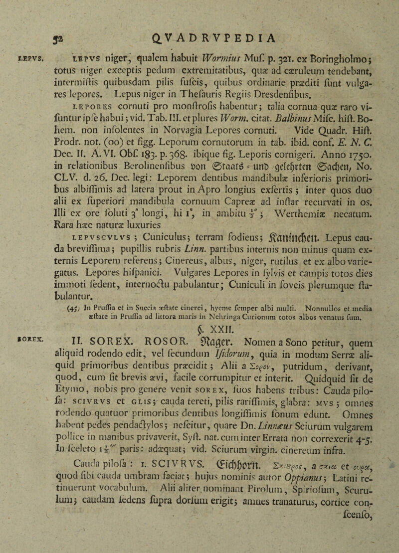 5a LEPVS. 10 REX. Q.VADRVPEDIA lipvs niger, qualem habuit Wormius Muf p. 32T. ex Boringholmo; totus niger exceptis pedum extremitatibus, quae ad caeruleum tendebant, interminis quibusdam pilis fufcis, quibus ordinarie praediti funt vulga¬ res lepores* Lepus niger in Thefauris Regiis Dresdenfibus. lepores cornuti pro monftrofis habentur; talia cornua quae raro vi- funtur ipfehabui; vid. Tab. III. etplures Worm. citat. BatbinusMifc. hift. Bo- hem. non infolentes in Norvagia Lepores cornuti. Vide Quadr. Hifh Prodr. not. (00) et hgg. Leporum cornutorum in tab. ibid. conf. E. N. C. Dec. II. A. VI. Obf 183. p. 368« ibique fig. Leporis cornigeri. Anno 1750. in relationibus Berolmenlibus $on 0faafg = un£> qeleljrtcn 0acT)cn, No. CLV. d. 26. Dec. legi: Leporem dentibus mandibulae inferioris primori¬ bus albiffimis ad latera prout in Apro longius exfertis ; inter quos duo alii ex luperiori mandibula cornuum Capreae ad infar recurvati in os. Illi ex ore loluti 3 longi, hi 1, in ambitu ? ; Werthemiae necatum. Rara haec naturae luxuries lepvscvlvs ; Cuniculus; terram fodiens; Lepus cau¬ da breviflima; pupillis rubris Linn. partibus internis non minus quam ex¬ ternis Leporem referens; Cinereus, albus, niger, rutilus et ex albo varie¬ gatus. Lepores hifpanici. Vulgares Lepores in lylvis et campis totos dies immoti fedent, internoftu pabulantur; Cuniculi in foveis plerumque fa¬ bulantur. / (45 j I11 PrufTia et in Suecia seftate cinerei, hyeme femper albi multi. Nonnullos et media aeftate in Pruffia ad littora maris in Nenringa Curionum totos albos venatus fum. §. XXII. II. SOREX. ROSOR. 0£a$et*. Nomen a Sono petitur, quem aliquid rodendo edit, vel fecundum IJuiorum, quia in modum Serrat ali¬ quid primoribus dentibus prateidit; Alii a Zogov, putridum, derivant, quod, cum lit brevis aevi, facile corrumpitur et interit. Quidquid lit de Etymo, nobis progenere venit sorex, fuos habens tribus: Cauda pii o- fa: scivrvs et glis; cauda tereti, pilis rariffimis, glabra: mvs ; omnes rodendo quntuor primoribus dentibus longiffimis Ionum edunt. Omnes habent pedes penda&ylos; ne/citur, quare Dn. Linmeus Sciurum vulgarem pollice in manibus privaverit, Syft. nat. cum inter Errata non correxerit 4-5. In fceleto ii' paris: adaequat; vid. Sciurum virgin. cinereum infra. Cauda pilofa : 1. SCIVRVS. 0'd)l)Om. Zms?os9 a et ov^ quod libi cauda umbram faciat; hujus nominis autor Oppianus; Latini re¬ tinuerunt vocabulum. Alii aliter nominant Pirolum, Sp rio/um, Scuru- lum; caudam iedens fupra dorlum erigit; amnes tranaturus, cortice con- fcenfo.