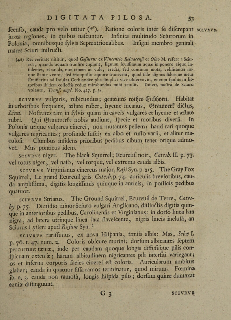 fcenfo, cauda pro velo utitur (45). Ratione coloris inter le difcrepant juxta regiones, in quibus nafcuntur. Infinita multitudo Sciurorum in Polonia, omnibusque lylvis Septentrionalibus. Infigni membro genitali mares Sciuri inflru&i. (46) Rei veritate nititur, quod Gefnerus ex Vittcentio Beluacenjt et Olao M. refert : Sciu¬ ros, quando aquam tranfire cupiunt, lignum leviilimum aqux imponere eique in- fidentes, ct cauda, non tamen ut vult, ere£h, fed continuo mota, velificantes ne¬ que flante vento, fed tranquillo sequore transvehi, quod fide dignus fidusque meus Emiflarius ad Infulas Gothlandiae plus fimplici vice obfervavit, et cum fpoliis in lit- toribus ibidem collectis redux mirabundus mihi retulit. Differt, noftra de Sciuro volante, Tranf, angi. No. 427. p. 38. scivrvs vulgaris, rubicundus; qcmctne3 rotf)e$ ©djljont. Habitat in arboribus frequens, aelhte ruber, hyeme incanus, ©ratuwrf didlus, Linn. Noffrates tam in fylvis quam in caveis vulgares et hyeme et aeftate rubri. Qui ©rmtrocrfe nobis audiunt, fpecie et moribus diverfi. In Polonia utique vulgares cinerei, non mutantes pellem; haud rari quoque vulgares nigricantes; profunde fulci; ex albo et ruffo varii, et aliter ma- culoli. Clunibus inlidens prioribus pedibus cibum tenet orique admo¬ vet. Mus ponticus idem. scivrvs niger. The black Squirrel; Ecureuil noir, Catesb. II. p. 73. vel totus niger, vel nafo, vel torque, vel extrema cauda albis. scivrvs Virginianus cinereus major, RrfzVSyn. p. 215. TheGrayFox Squirrel, Le grand Ecureuil gris, Catesb. p.74. auriculis brevioribus, cau¬ da ampliffima, digitis longitfimis quinque in anticis, in pollicis pedibus qua tuor. scivrvs Striatus. The Ground Squirrel, Ecureuil de Terre, Cates- ly p. 75. Dimidio minor Sciuro vulgari Anglicano, diftiridfis digitis quin¬ que in anterioribus pedibus, Carolinenfis et Virginianus: in dorfo linea lata nigra, ad latera utrinque linea lata flavefeente, nigris lineis inclula, an Sciurus Lyderi apud Rajum Syn. ? sctvrvs rariffimus, ex nova Hifpania, taeniis albis: Mas, Seba I. p. 76. t. 47. nura. 2. Coloris oblcure murini; dorlum albicantes feptem percurrunt taeniae, inde per caudam quoque longis diffulilque pilis con- Ipicuam exten‘ae; harum albitudinem nigricantes pili interliti variegant; os et inferna corporis facies cinerei eff coloris. Auricularum ambitus glaber; cauda in quatuor filfa ramos terminatur, quod mirum. Fcemina ib. n. 3. cauda non ramofa, longis hilpida pilis; dorfum quinae duntaxat taeniae diihnguunt. G 3 SCIVRVS» f SCIVRVS