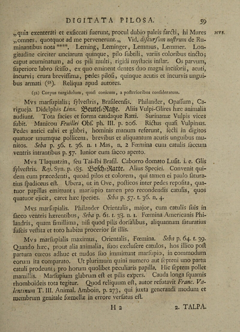 „quia exenterati et exficcati fuerunt, procul dubio paleis farcdi, hi Mures „ omnes, quotquot ad me pervenerunt.,, Vid. difcurfum noftrum de Ru¬ minantibus nota ***** Leming, Leminger, Lenimus, Lemmer. Lon¬ gitudine circiter unciarum quinque, pilo fubtili, variis coloribus tincdo; caput acuminatum, ad os pili multi, rigidi mydacis indar. Os parvum, iuperiore labro fciflfo, ex quo eminent dentes duo magni inciforii, acuti, incurvi; crura brevidima, pedes pilofi, quinque acutis et incurvis ungui¬ bus armati (>z). Reliqua apud autores. (52) Corpus turgidulum, quafi conicum, a pofterioribus confideratum. Mvs marfupialis; fylvedris, Bralileenfis. Philander, Opaffum, Ca- rigueja. Didelphis Linn. Aliis Vulpi-Glires hsc animalia audiunt. Tota facies et forma caudaque Ratti. Surinamse Vulpis vices fubit. Manicou Feuillei Obf ph. III. p. 206. Ricdus quad Vulpinus. Pedes antici calvi et glabri, hominis manum referunt, fe&i in digitos quatuor unumque pollicem, brevibus et aliquantum acutis unguibus mu¬ nitos. Seba p. 56. t. 36. 11. 1 Mas, n* 2 Foemina cum catulis faecum ventris intrantibus p. 57. Iunior cum facco aperto. Mvs Tlaquatzin, feu Tai-Ibi Brafil. Caborro domato Lufit. i. e. Glis fylvedris. Raj. Syn. p. 185. jBofil)*iKattC. Alius Speciei. Convenit qui¬ dem cum praecedenti, quoad pilos et colorem, qui tamen ei paulo fatura- tius fpadiceus ed. Ubera, ut in Ove, podicos inter pedes repofita, qua¬ tuor papillas emittunt; marfupio tamen pro recondendis catulis, quos quatuor ejicit, caret haec fpecies. Seba p. 57. t. 36. n, 4. Mvs marfupialis. Philander Orientalis, major, cum catulis fuis in facco ventris haerentibus, Seba p. 61. t. 33. n. 1. Foemina Americanis Phi- landris, quam fimillima, nili quod pilis dorfalibus, aliquantum faturatius fufeis vedita et toto habitu procerior fit illis. Mvs marfupialis maximus, Orientalis, Foemina. Seba p. 64. t. 39. Quando harc, prout alia animalia, fuos exclufere catulos, hos illico pod partum coecos adhuc et nudos fuo immittunt marfupio, in commodum eorum ita comparato. Ut plurimum quini numero aut fepteni uno partu catuli prodeunt; pro horum quolibet peculiaris papilla. Hic feptem pollet mamillis. Marfupium glabrum ed et pilis expers. Cauda longa fquamis rhomboideis tota tegitur. Quod reliquum ed, autor refutavit Franc. Va- lentinum T. III. Animal. Amboin. p. 273, qui juxta generandi modum et membrum genitale foemellac in errore verlatus ed. H 2 MVS. 2. TALPA.