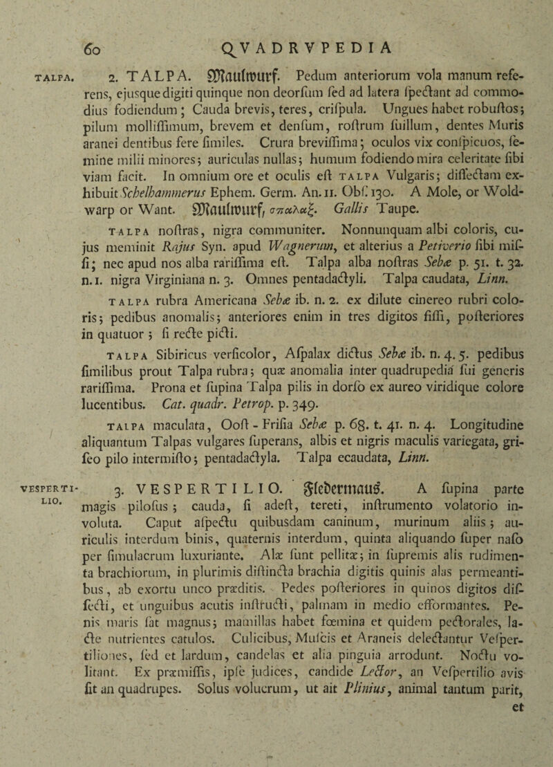 TALPA. VESPERTI LIO. 2. TALPA. SDlatlfrourf. Pedum anteriorum vola manum refe¬ rens, ejusque digiti quinque non deorfum fed ad latera fpetdant ad commo¬ dius fodiendum; Cauda brevis, teres, crifpula. Ungues habet robudos; pilum mollifiimum, brevem et denfum, rodrum fuillum, dentes Muris aranei dentibus fere fimiles. Crura brevidima; oculos vix confpicuos, fe¬ mine milii minores; auriculas nullas; humum fodiendo mira celeritate fibi viam facit. In omnium ore et oculis ed talpa Vulgaris; didedlam ex¬ hibuit Schelhammerus Ephem. Germ. An.u. Obf^o. A Mole, or Wold- warp or Want. Gallis Taupe. talpa nodras, nigra communiter. Nonnunquam albi coloris, cu¬ jus meminit Rajus Syn. apud Wagnerumy et alterius a Petiverio libi mif- fi; nec apud nos alba raridima ed. Talpa alba nodras Sebas p. 51. t. 33. n.i. nigra Virginiana n. 3. Omnes pentadadlyli. Talpa caudata, Linn. talpa rubra Americana Sebas ib. n. 2. ex dilute cinereo rubri colo¬ ris; pedibus anomalis; anteriores enim in tres digitos fidi, poderiores in quatuor ; (i recde pi(di. talpa Sibiricus verficolor, Afpalax ditdus Sebae ib. n. 4.5. pedibus fimilibus prout Talpa rubra; quae anomalia inter quadrupedia fui generis raridima. Prona et fupina Talpa pilis in dorfo ex aureo viridique colore lucentibus. Cat. quadr. Petrop. p. 349. talpa maculata, Ood - Frifia Sebae p. 68. t. 41. n. 4. Longitudine aliquantum Talpas vulgares iuperans, albis et nigris maculis variegata, gri- feo pilo intermido; pentadadlyla. Talpa ecaudata, Linn. 3. VESPERTILIO. A fupina parte magis pilofus ; cauda, fi aded, tereti, indrumento volatorio in¬ voluta. Caput afpe&u quibusdam caninum, murinum aliis; au¬ riculis interdum binis, quaternis interdum, quinta aliquando fuper nafo per fimulacrum luxuriante. Alae funt pellitae; in fupremis alis rudimen¬ ta brachiorum, in plurimis didintda brachia digitis quinis alas permeanti¬ bus , ab exortu unco praeditis. Pedes poderiores in quinos digitos di£ fedi, et unguibus acutis indrudli, palmam in medio efformanfes. Pe¬ nis maris fat magnus; mamillas habet foemina et quidem pedlorales, Ia- dle nutrientes catulos. Culicibus, Mulcis et Araneis deledlantur Vefper- tiliones, fed et lardum, candelas et alia pinguia arrodunt. Noftu vo¬ litant. Ex praemidTis, ipfe judices, candide Letfor, an Vefpertilio avis fit an quadrupes. Solus voluerum, ut ait Plinius, animal tantum parit, et
