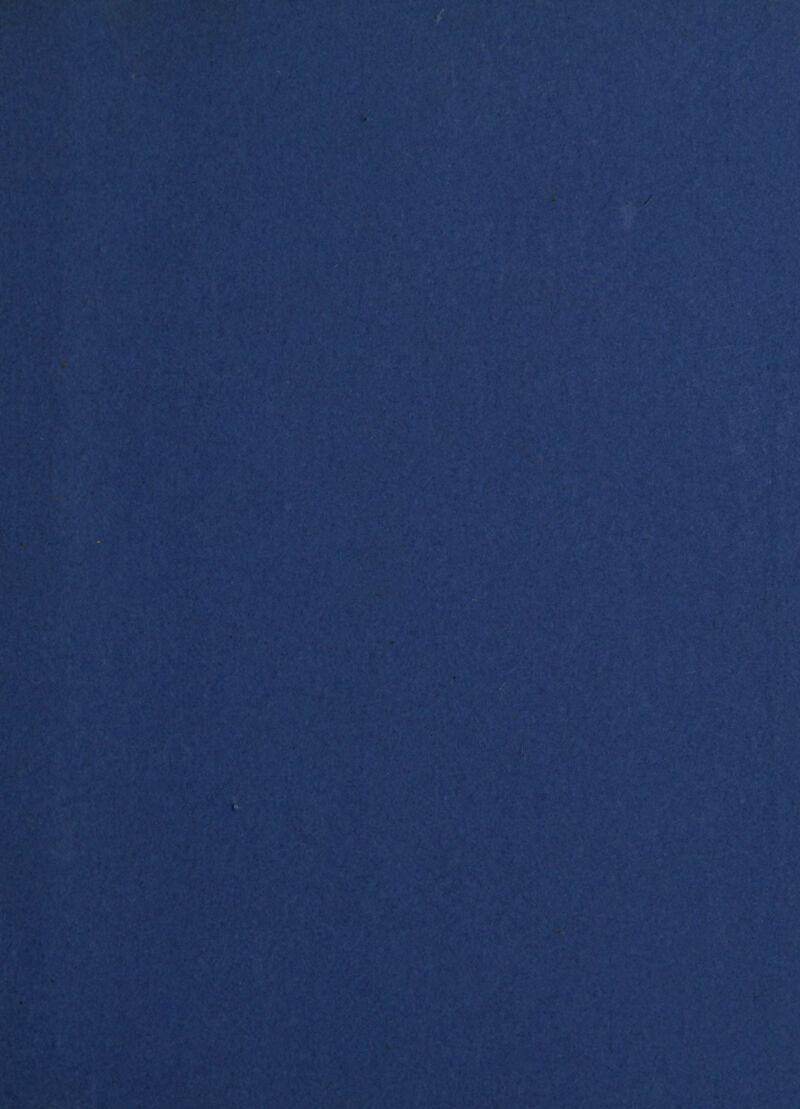 . ' vV * V T' '■ W..>V' ii 7•,•*-■ U, -• f. •a;-.' ^ . * • • .• / y> , • *>' ' ■ • ‘it 4 l