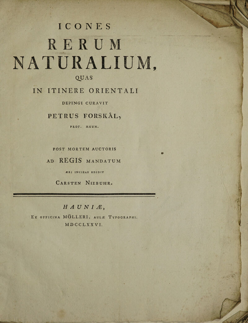 ICONES RERUM NATURALIUM, QUAS IN ITINERE ORIENTALI DEPINGI CURAVIT PETRUS FORSKAL, PROF. HAUN. POST MORTEM AUCTORIS AD REGIS MANDATUM JERI INCISAS EDIDIT Carsten Niebuhr. HA UNI • • Ex officina MOLLERI, aulje Typographi. MDCCLXXVI.