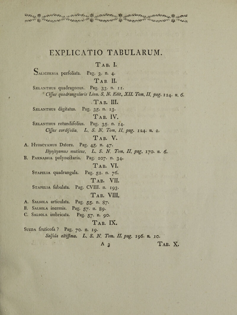 k****2.&J*&s**ii*,*A ® _v !& jJ>/^ 8§8 n^-‘rr ^'<**?>r^‘' ‘ %p‘^-^ EXPLICATIO TABULARUM. Tab. I. Salicornia perfoliata. Pag. 3. n. 4. Tab II. SjElanthus quadragonus. Pag. 33. n. 11. GJfiis quadrangularis Linn. S. N. Edit. XII. Tom, /i[ /wg. 124. n, 6. -Tab. III. Sjelanthus digitatus. Pag. 35. n. 13. Tab. IV. Sjelanthus rotundifolius. Pag. 35. n. 14. CiJJus cordifolia. L, S. N. Tom. II. pag. 124. n. 2. Tab. V. A. Hyoscyamus Dafora. Pag. 45. n. 47. Hyojcyamus muticus. L. S. N. Tom, II. pag. 170. n. 6. B. Parnassia polyneftaria. Pag. 207. n. 34.. Tab. VI. Stapelia quadrangula. Pag. 52. n. 76. Tab. VII. Stapelia Tubulata. Pag. CVIII. n. 193. Tab. VIII. A. Salsola articulata. Pag. 55. n. 87. B. Salsola inermis. Pag. 57. n. 89. C. Salsola imbricata. Pag. 57. n. 90. Tab. IX. Sueda fruticofa ? Pag. 70. n. 19. Salfola altijima. L. S. N. Tom. II. pag, 19 6. ». 10, A 3 Tab. X.