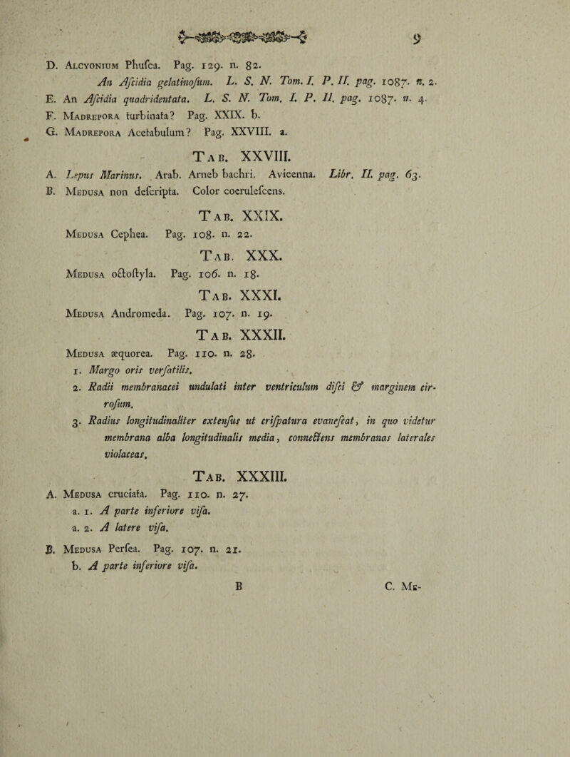 D. Alcyonium Phufca. Pag. 129. n. 82. A11 Afcidia gelatinofum. L. S. N. Tom. I. P. II. pag. 1087* n' 2. E. An Afcidia quadridentata. L. S. N. Tum. I. P. 11. pag. 1087* n’ 4* F. Madrepora turbinata? Pag. XXIX. b. G. Madrepora Acetabulum? Pag. XXVIII. a. Tab. XXVIII. A. Lepus Marinus. Arab. Arneb baebri. Avicenna. Libr, II. pag. 63. B. Medusa non deferipta. Color coerulefcens. Tab. XXIX. Medusa Cephea. Pag. 108- n* 22. Tab, XXX. Medusa o&oftyla. Pag. 106. n. 18- Tab. XXXI. Medusa Andromeda. Pag. 107. n. 19. Tab. XXXII. Medusa aequorea. Pag. 110. n. 28. 1. Margo oris verfatilis, 2. Radii membranacei undulati inter ventriculum difei marginem cir- rojhm. 3. Radius longitudinaliter extenfus ut crifpatura evanefeat, in quo videtur membrana alba longitudinalis media, conne&ens membranas laterales violaceas. Tab. XXXIII. A. Medusa cruciata. Pag. 110. Ji. 27. a. 1 .A parte inferiore vifa. a. 2. A latere vifa. B. Medusa Perfea. Pag. 107. n. 21. b. A parte inferiore vifa. B C. Me-