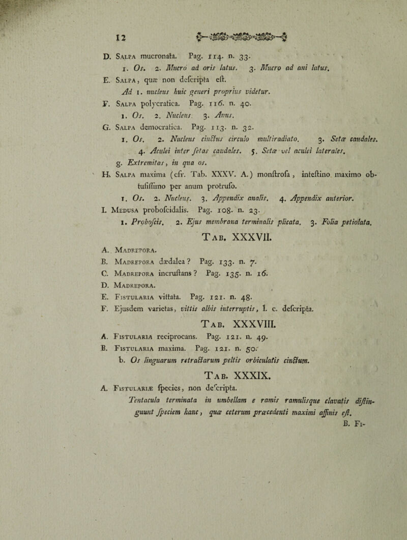 D. Salpa mucronata. Pag. 114. n. 33. 1. Os. 2. Mucro ad oris latus. 3. Mucro ad ani latus, E. Salpa, quce non defcripta eft. Ad 1. nucleus huic generi proprius videtur. F. Salpa polycratica. Pag. ri<5. n. 40. 1. Os. 2. Nucleus. 3. Amis. G. Salpa deinocratica. Pag. 113. n. 32. I. Os. 2. Nucleus cinCtus circulo multiradiato. 3. Setcr caudales. 4. Aculei inter fetas caudales. 5. Setce vel aculei laterales, g. Extremitas, in qua os. H. Salpa maxima (cfr. Tab. XXXV. A.) monflrofa , inteftino maximo ob- tufiffiino per anum protrufo. 1. Os. 2. Nucleus. 3. Appendix analis. 4. Appendix anterior. I. Medusa probofcidalis. Pag. ic>8- n. 23. I. Probofcis, 2. Ejus membrana terminalis plicata, 3. Folia petiolata. Tab* XXXVJI. A. . Madkepora. B. Mabrepora doedalea ? Pag. 133. n. C. Madrepora incruftans ? Pag. 135. n. 16. D. Madrepora. E. Fistularia vittata. Pag. 121. n. 48. F. Ejusdem varietas, vittis albis interruptis, 1. c. defcripta. Tab. XXXVIII. A. Fistularia reciprocans. Pag. 121. n. 49. B. Fistularia maxima. Pag. 121. n. 50.' b. Os linguarum retractarim peltis orbiculatis cinCtum. Tab. XXXIX. A. Fistularis: Ipecies, non descripta. Tentacula terminata in umbellam e ramis ramulisque clavatis dijlin- guunt fpeciem hanc, quce ceterum prcecedenti maximi affinis ejl, B. Fi-