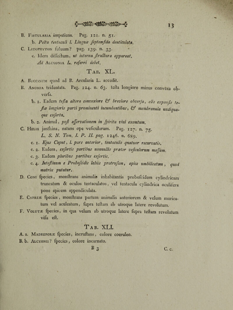 B. Fistularia impatiens. Pag. 121. n. 51. b. Pelta tenta culi l. Linguae feptemfida denticulata. C. Litophyton fiiluum? pag. 139. n. 33. * c. Idem di (Tectum, ut interna Jlru&ur a appareat. Ad Alcyonia L. referri debet. Tae. XL* A. Buccinum quod ad B. Arcularia L. accedit, B. Anomia tridentata. Pag. 124. n. 63. teita longiore minus convexa ob- verfa. b. 1. Eadem te fla altera convexiore & breviore obverja, dis expnnjis te- flce longioris parti prominenti incumbentibus, & membranula undiqua¬ que exferta. b. 2. Animal, pojl affervationem in fpiritu vini exemtum. C. Helix janthina, natans ope veficularum. Pag. 127. n. yg. L. 6*. N. Tom. L P. II. pag. 1246. n. 689. c. 1. Ejus Caput, l. pars anterior, tentaculis quatitor recurvatis. c. 2. Eadem, exfertis partibus nonnullis prceter vejiculorum majfam. c. 3. Eadem pluribus partibus exjertis. c. 4. Intejlinum e Prubofcidis labiis protrufum, apice umbilicatim , quod matrix putatur. D. Coni fpecies, monftrans animalis inhabitantis probofcidem cylindricam truncatam & oculos tentaculatos, vel tentacula cylindrica oculifera pone apicem appendiculata. E. Cyprea fpecies , monftrans partem animalis anteriorem & velum murica¬ tum vel aculeatum, fupra teflam ab utroque latere revolutum. F. Volutje fpecies, in qua velum ab utroque latere fupra teftam revolutum vifu eft. Tab. XLI. A. a. Madrepor;e fpecies, incruftans , colore coeruleo. B. b. Alcyonii ? fpecies, colore incarnato. B 3 C. c.