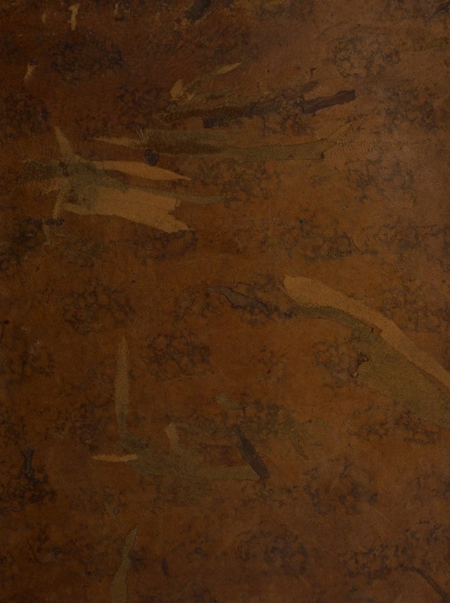 No text description is available for this image